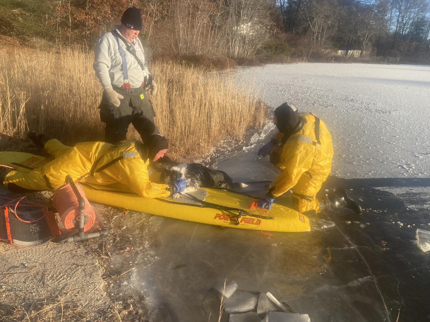 Dog rescued after falling through ice on Wareham pond - masslive.com