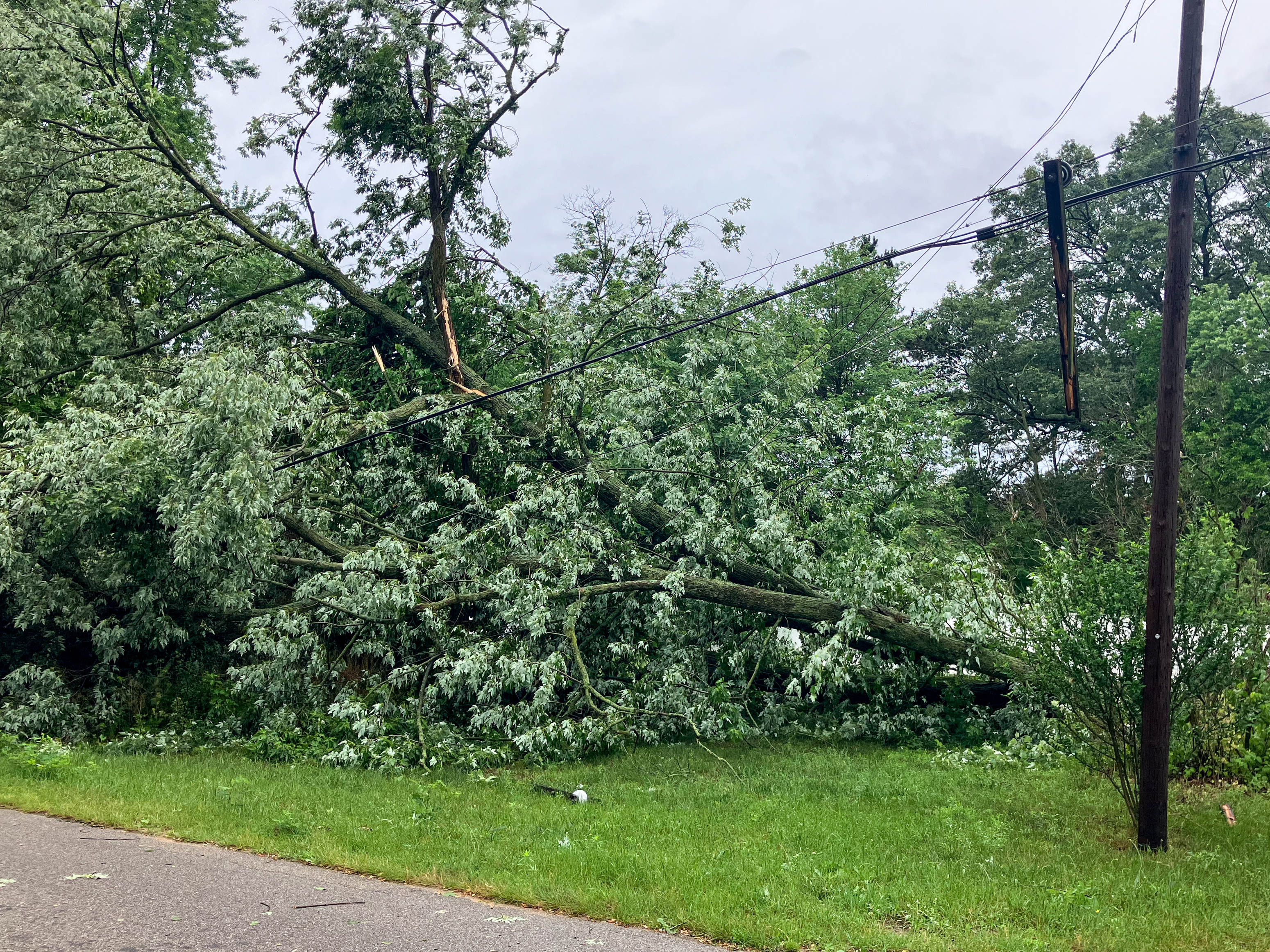 Storm leaves thousands in Muskegon without power, tree damage - mlive.com