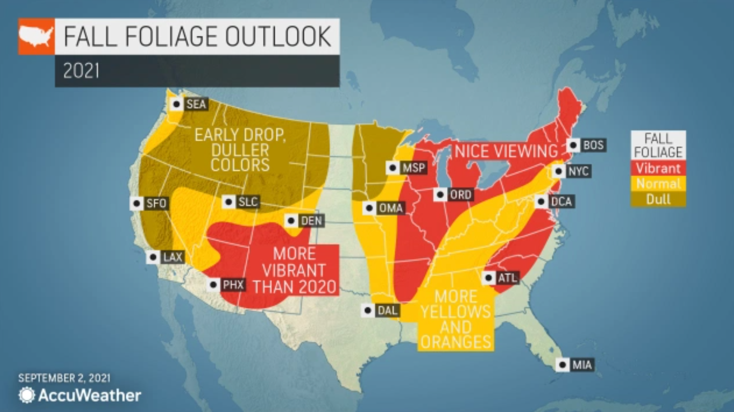 New England's foliage forecast for Fall 2022 | fox61.com