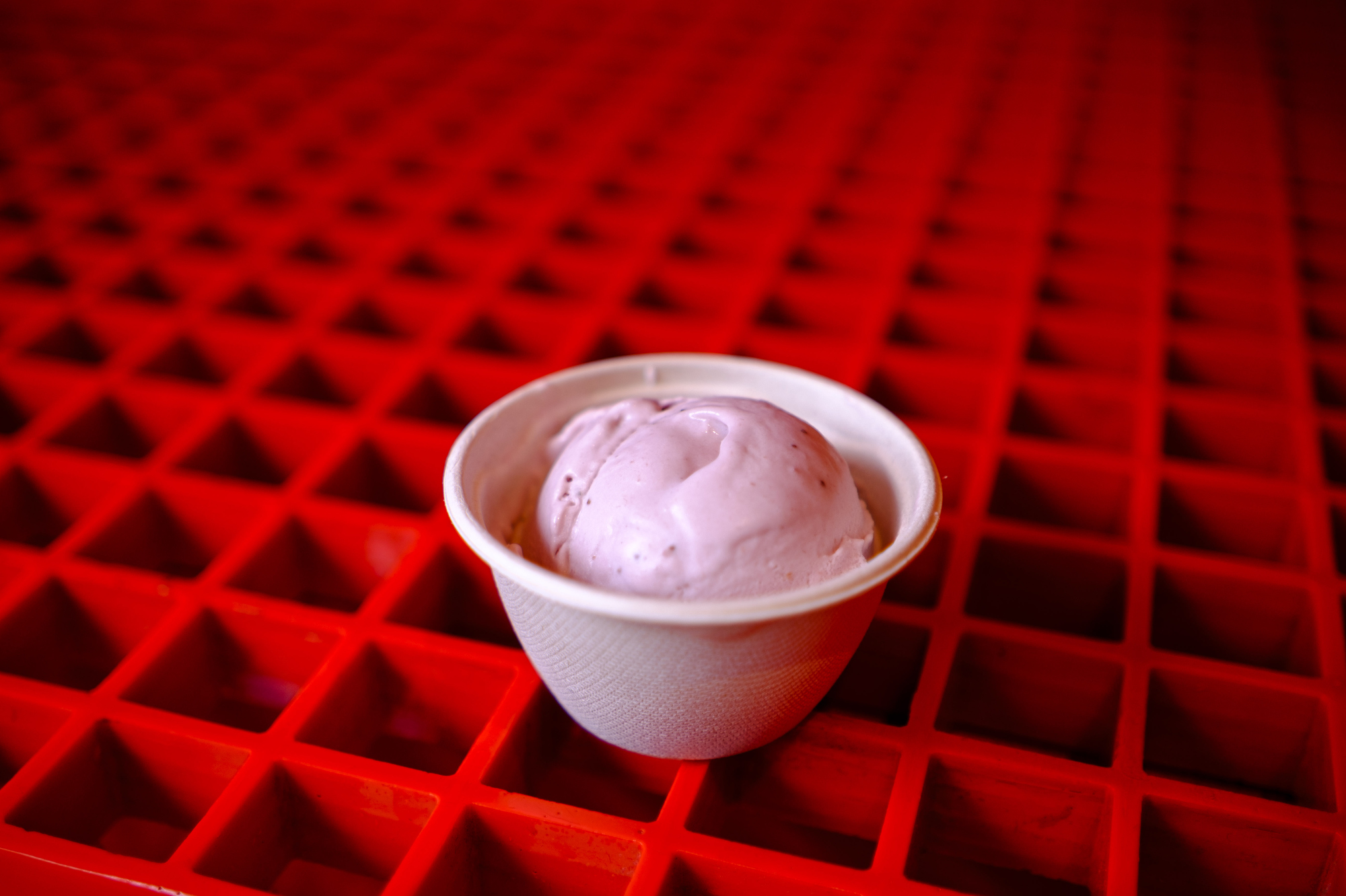 Local Eats Milk & Froth Ice Cream