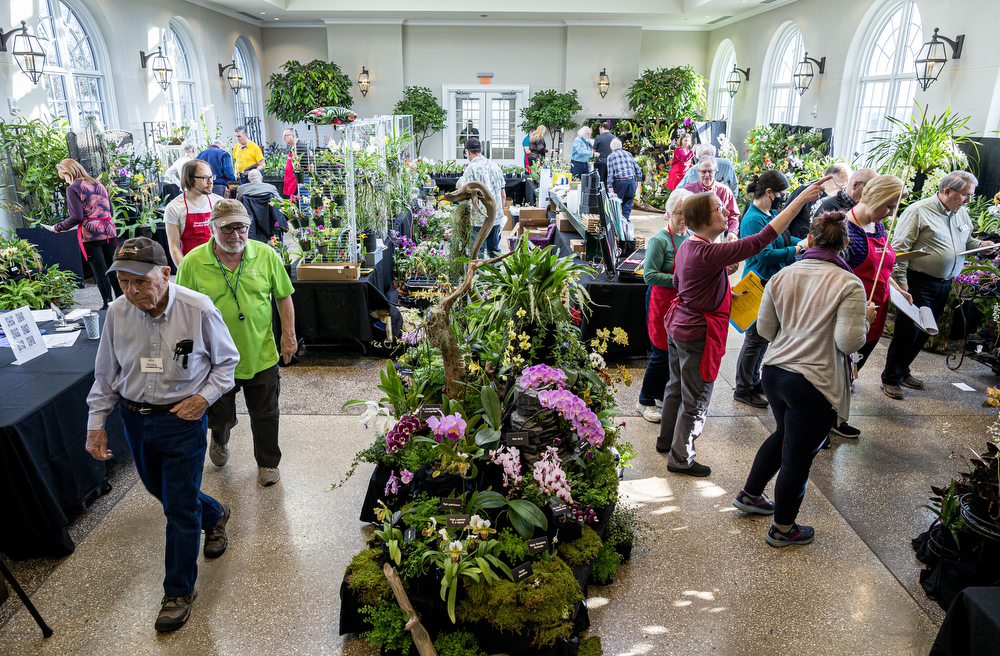 Orchid show and sale 2023 at Hershey Gardens - pennlive.com
