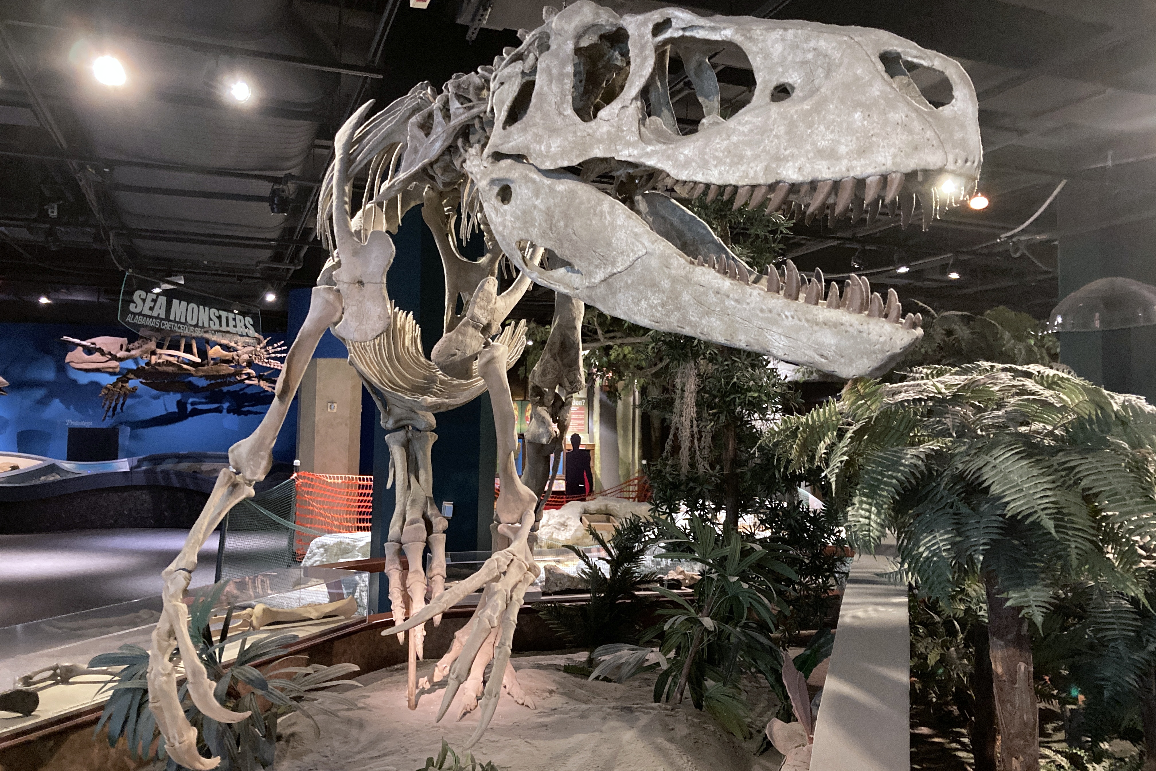 T. rex had lips, upending its enduring pop culture image