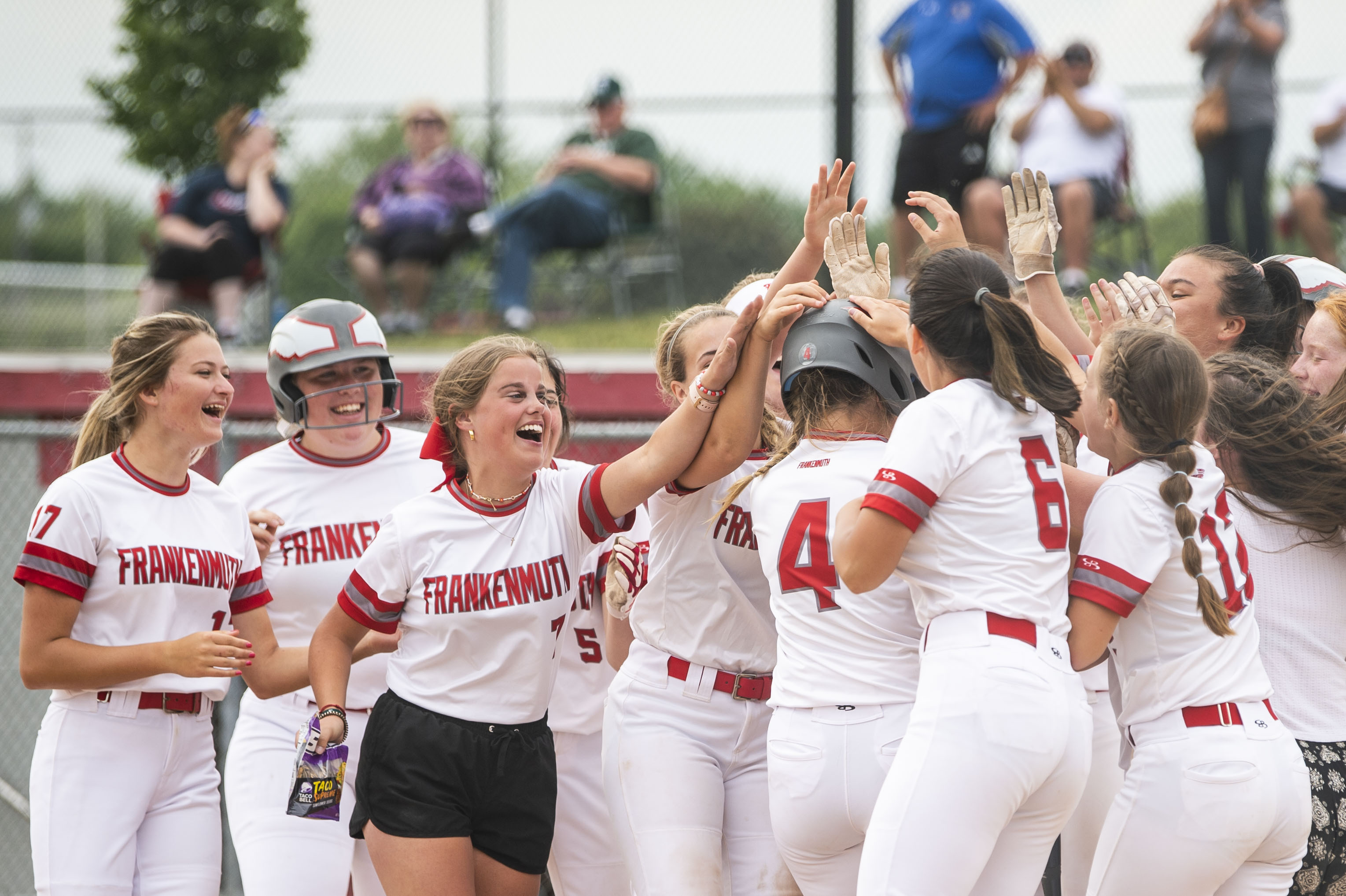 Frankenmuth softball defeats New Lothrop 42