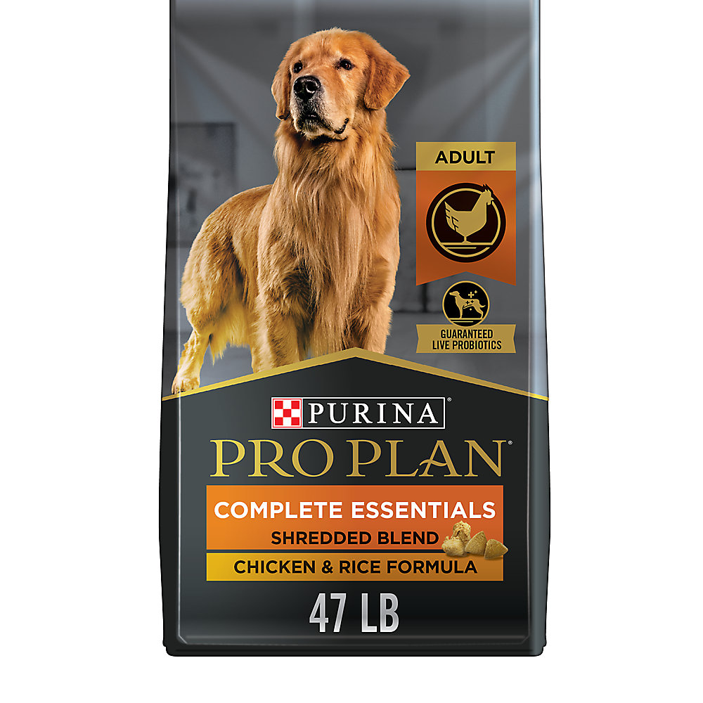 Best online 2024 dog food store