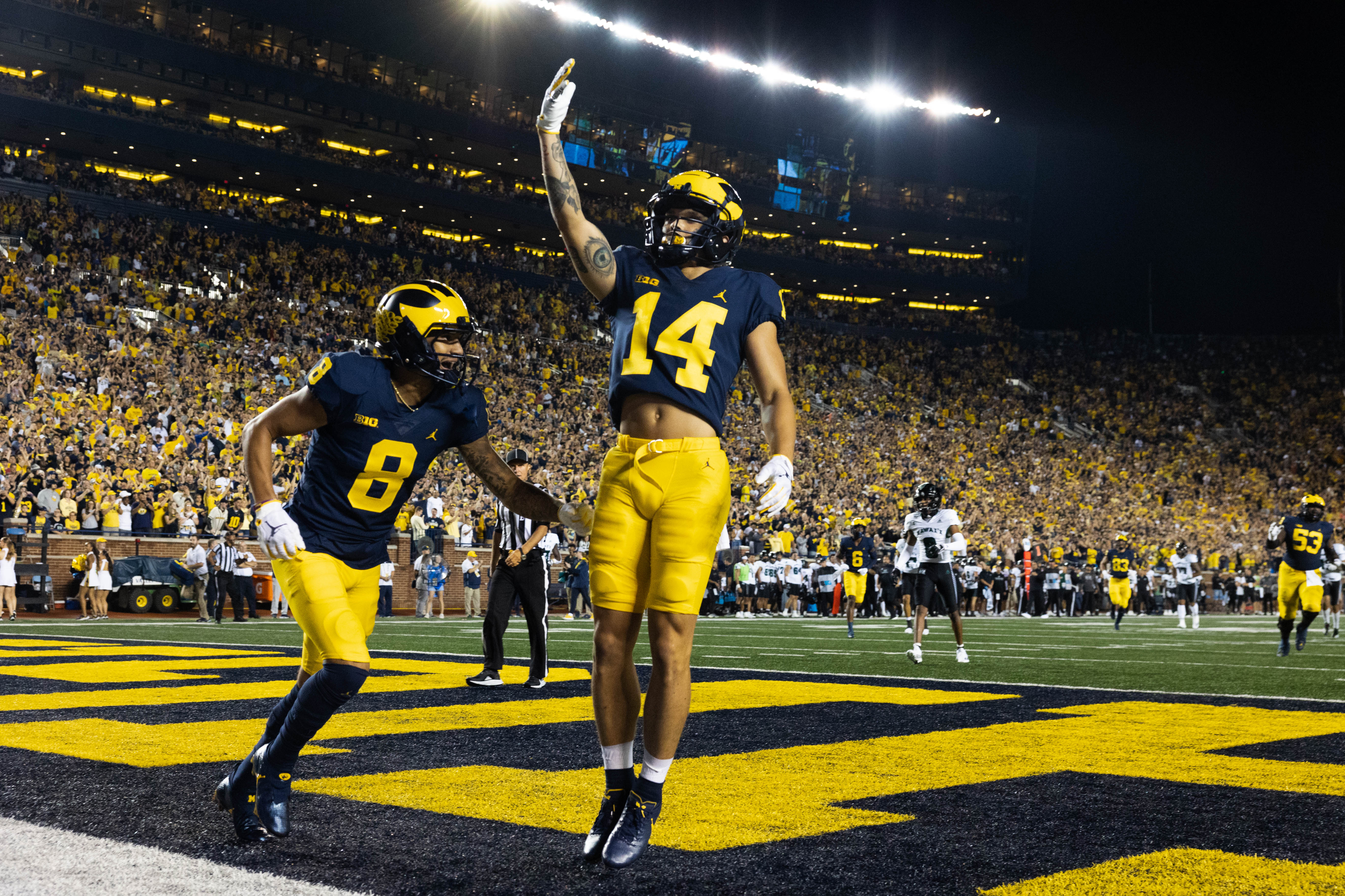 Snap counts, PFF grades: Roman Wilson leads Michigan offense with  incredible TD grab 