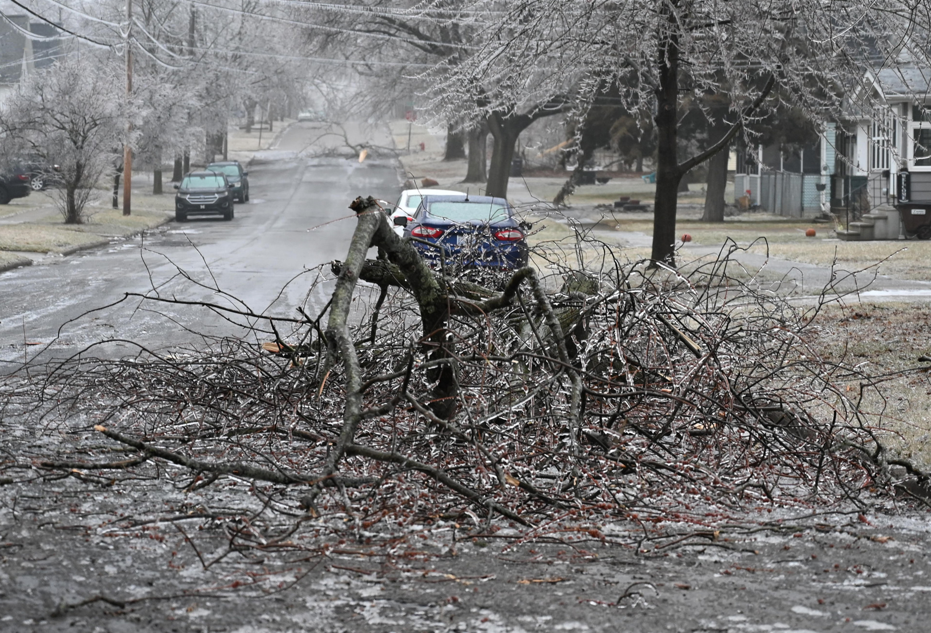 Winter storm brings down trees, power lines across Jackson County 