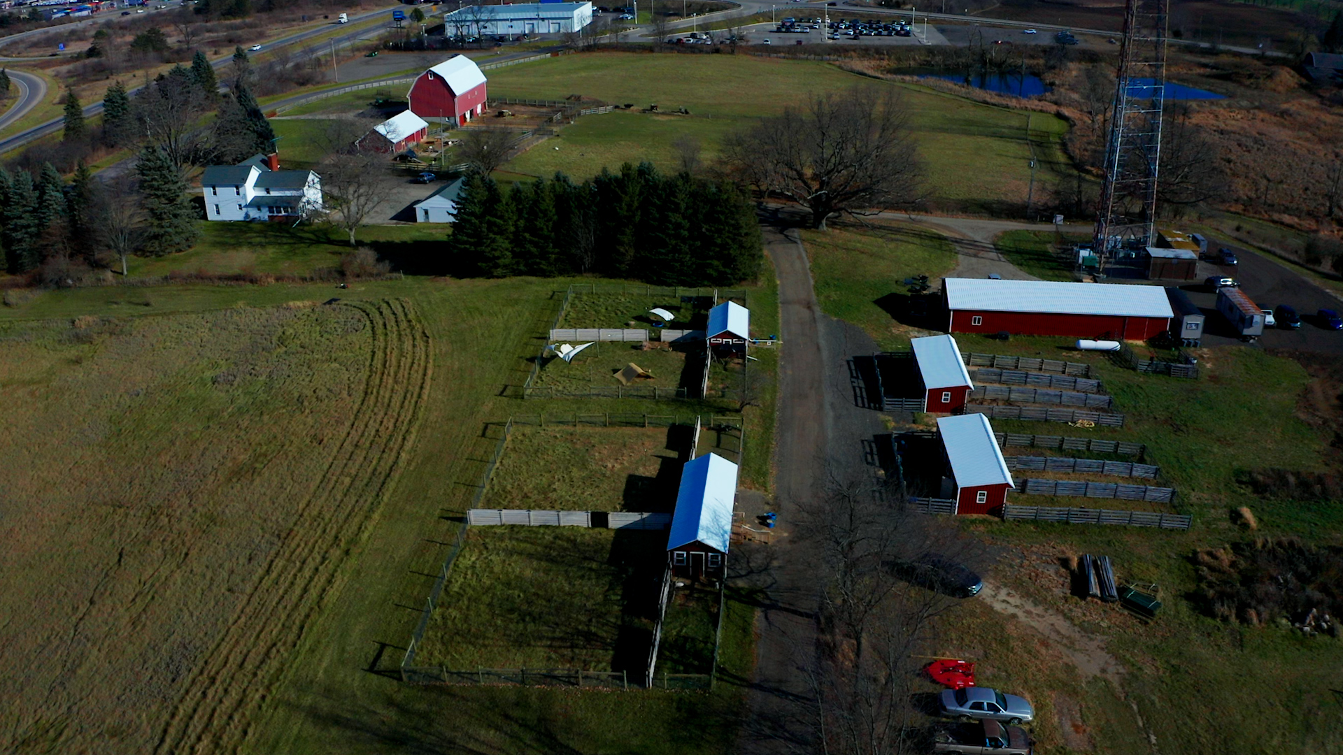 Rescued farmed animals live the good life at The Barn Sanctuary - mlive.com