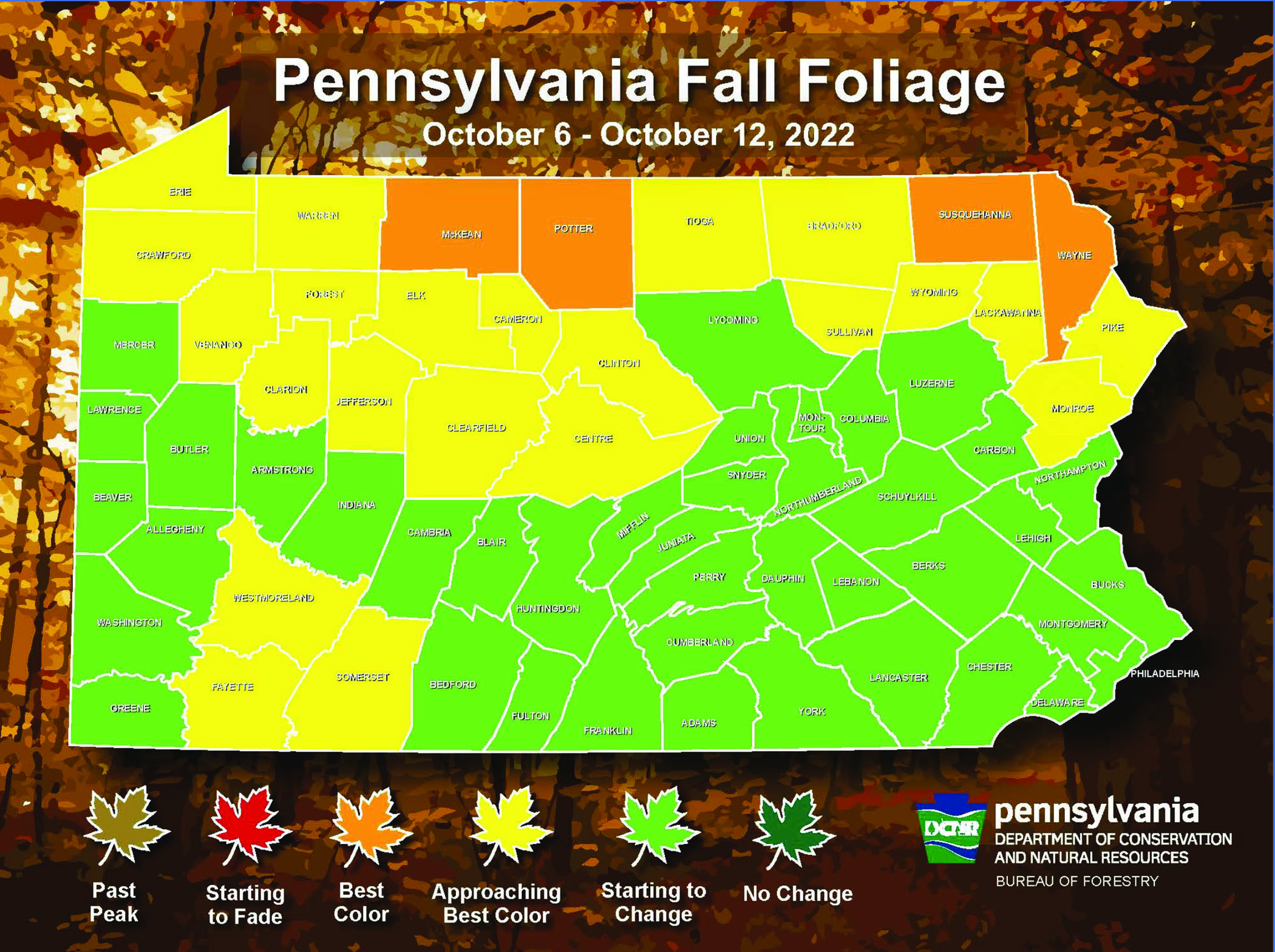 Cool weather accelerating leaf change Pennsylvania fall foliage report