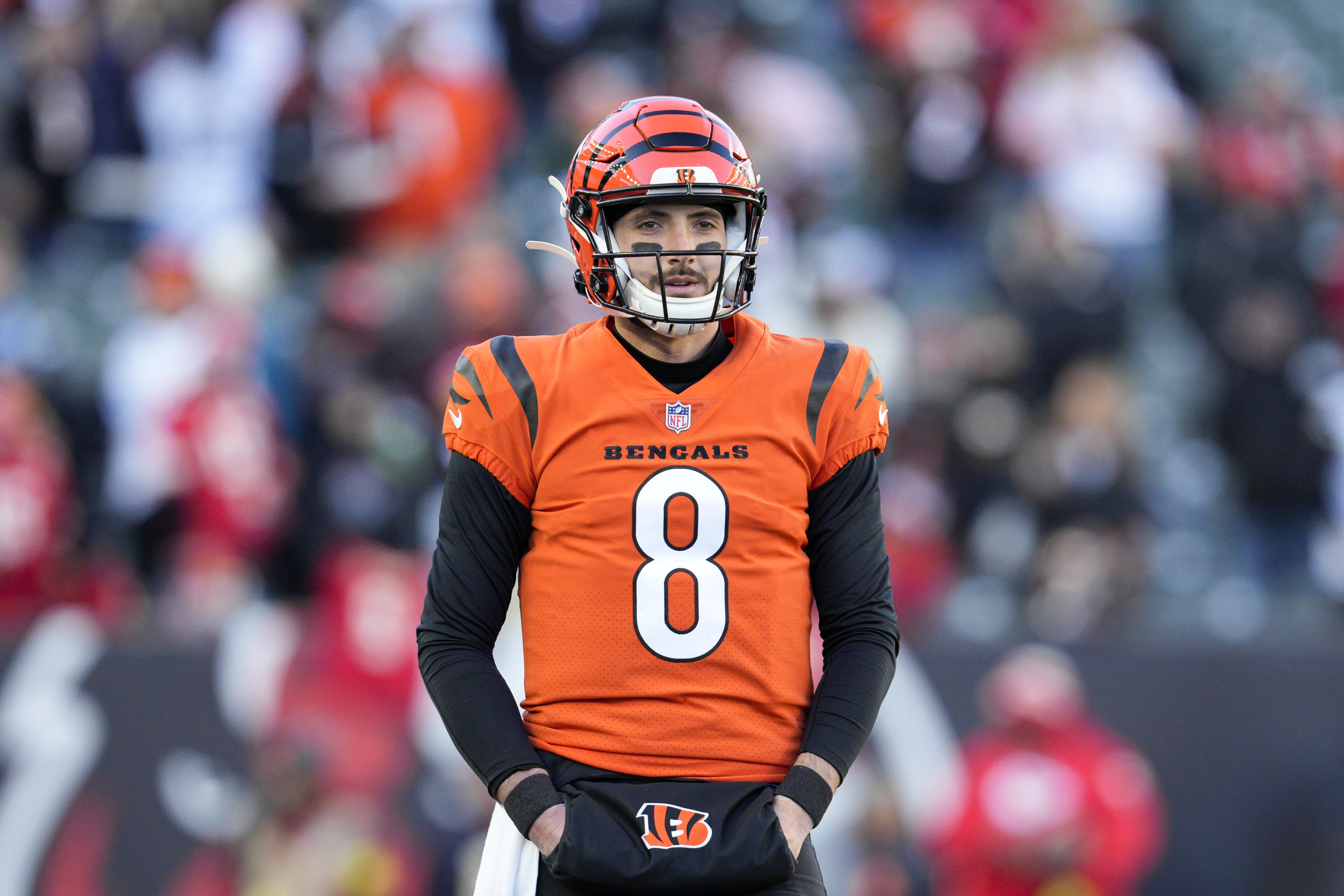 Is Brandon Allen the Bengals' backup QB of the future? - Cincy Jungle