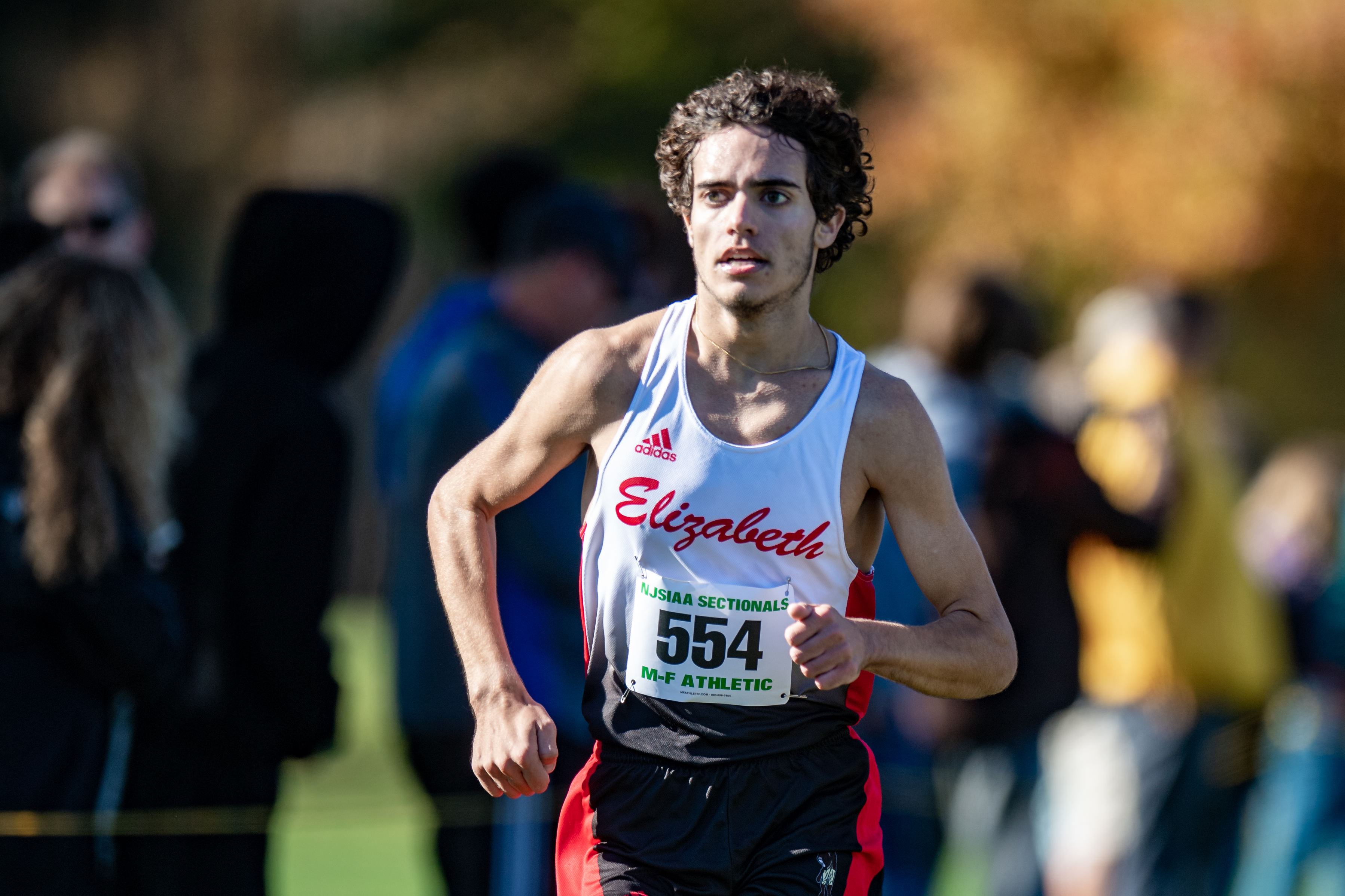 Local runners compete in cross-country sectionals - Franklin