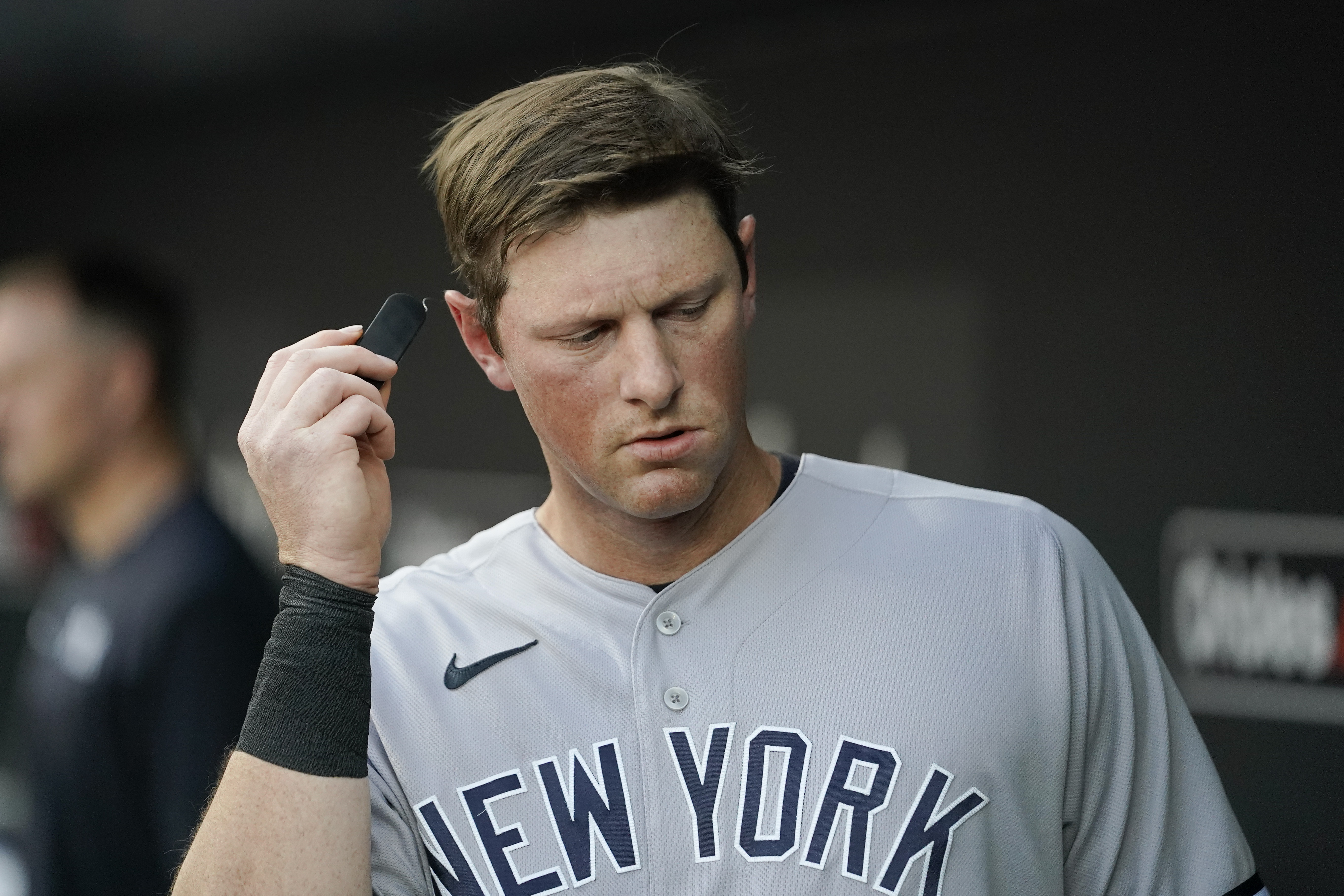 LeMahieu, Torres, Ushela, Voit a yankees mlb jersey generator systems nd  Frazier have left a void.