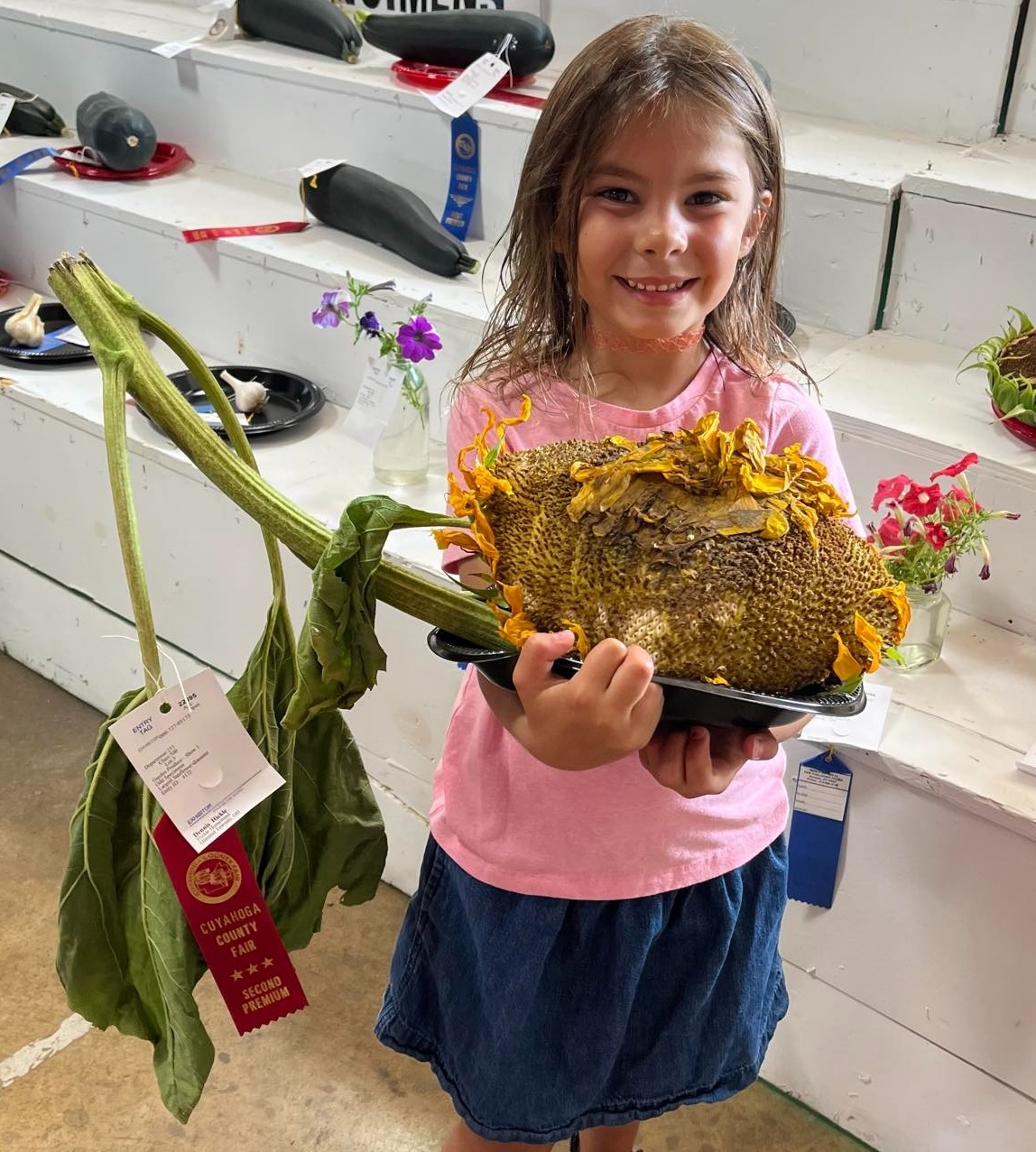 From tiny seed to prize winner: Olmsted Township first-grader's