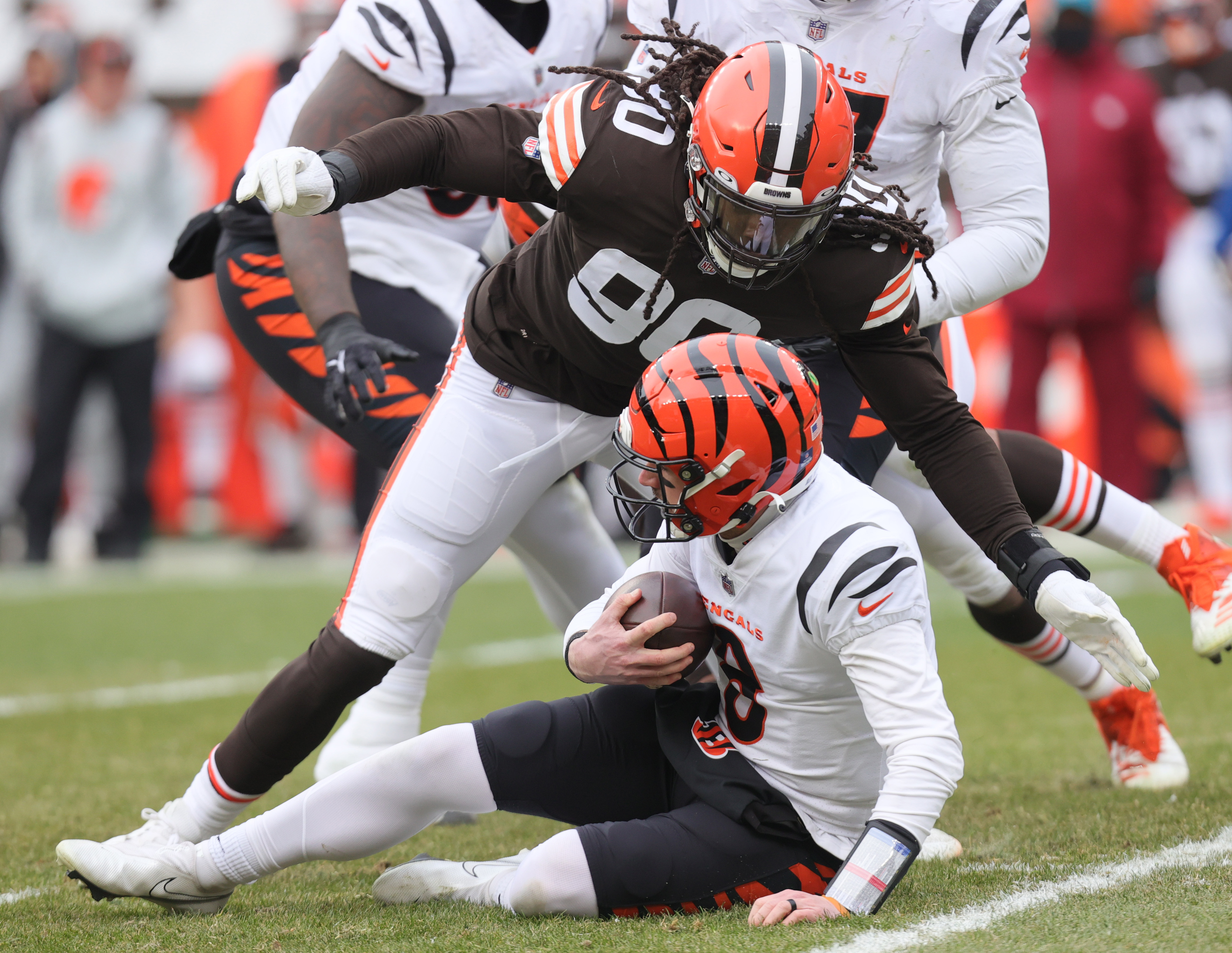 Cincinnati Bengals quarterback Brandon Allen (8) hands the ball