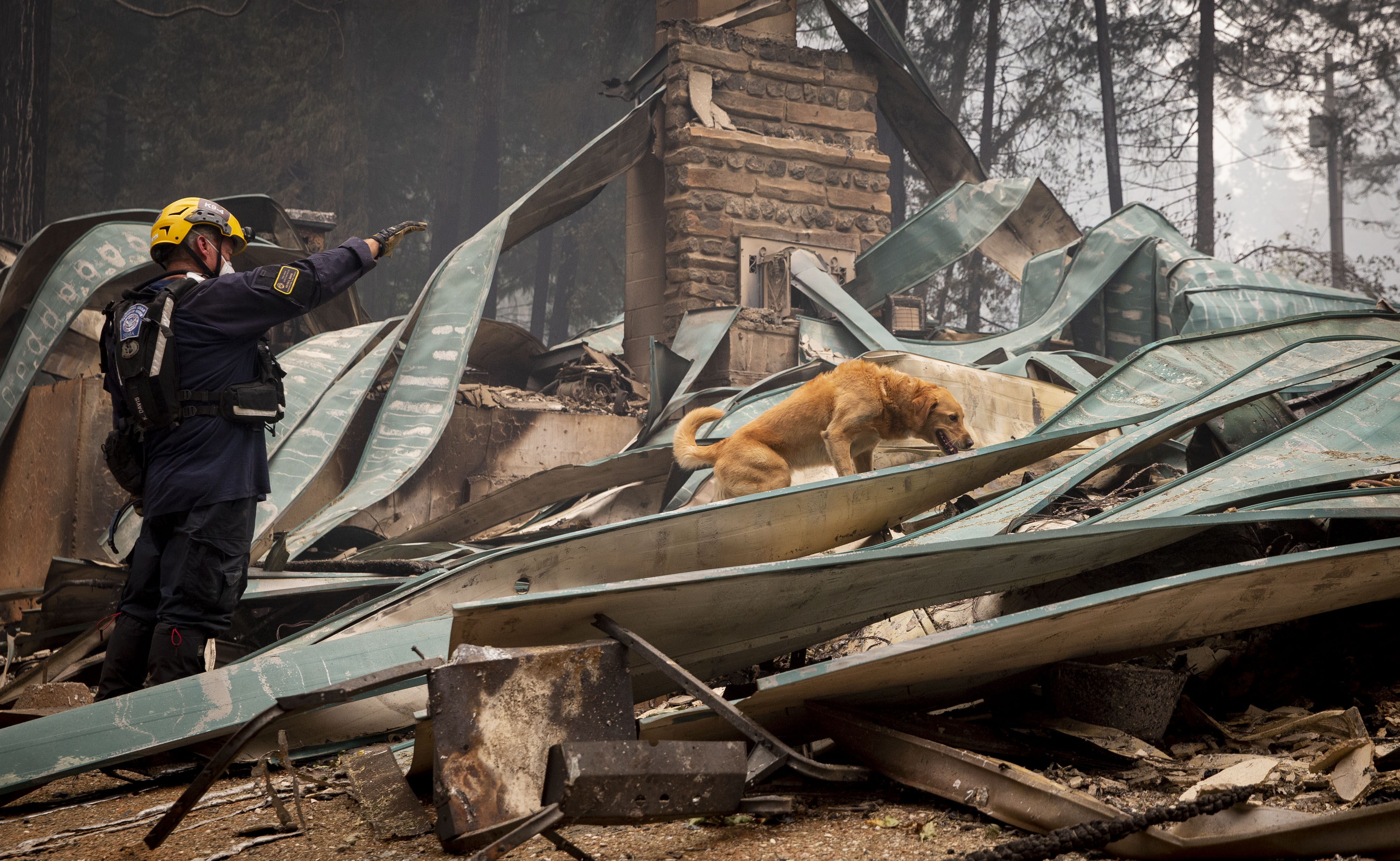 Oregon wildfire near Eugene destroys at least 500 homes, structures; 8