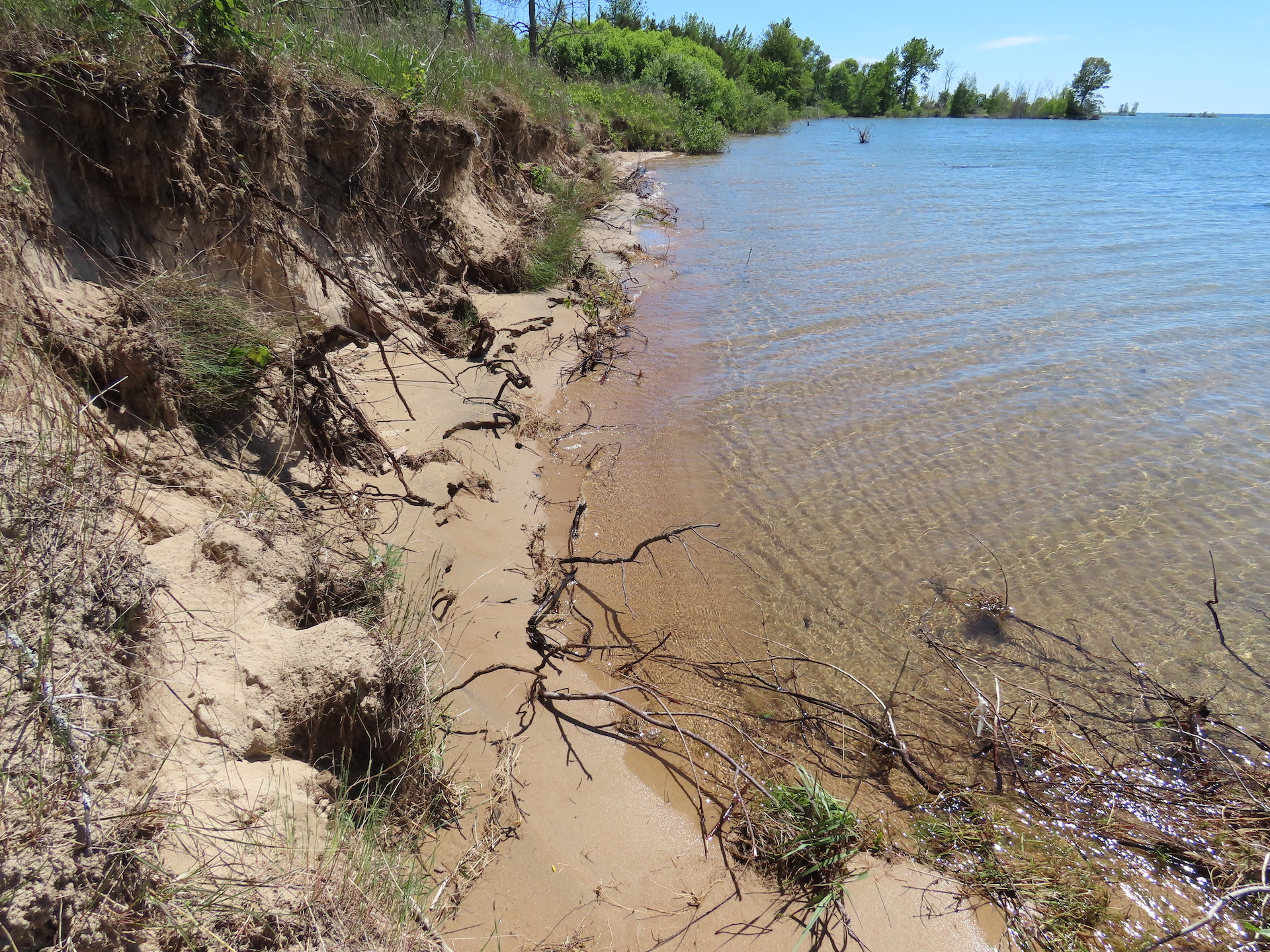 High water eroding Tawas Point State Park