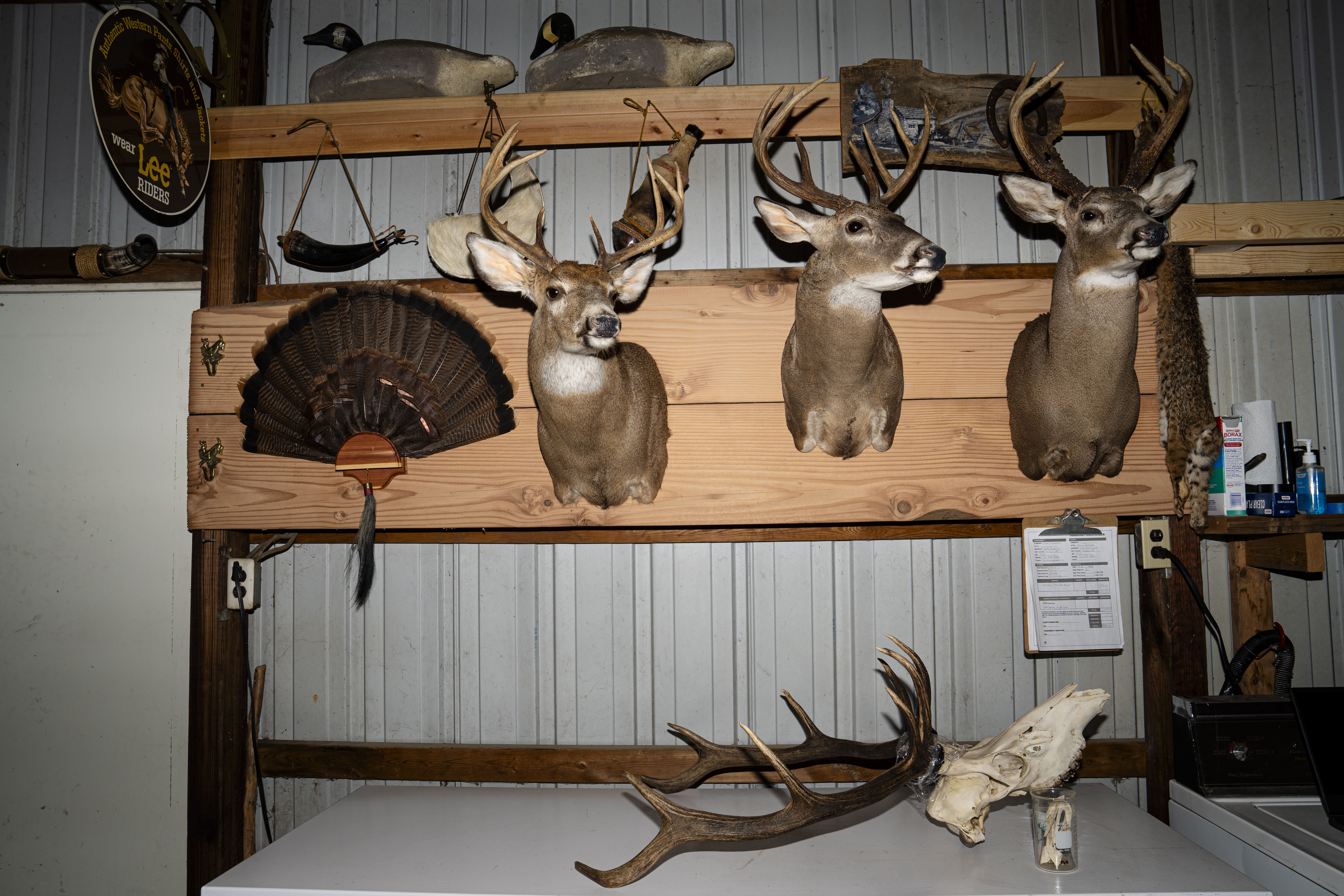Ritual Taxidermist Jeff Burnett - mlive.com