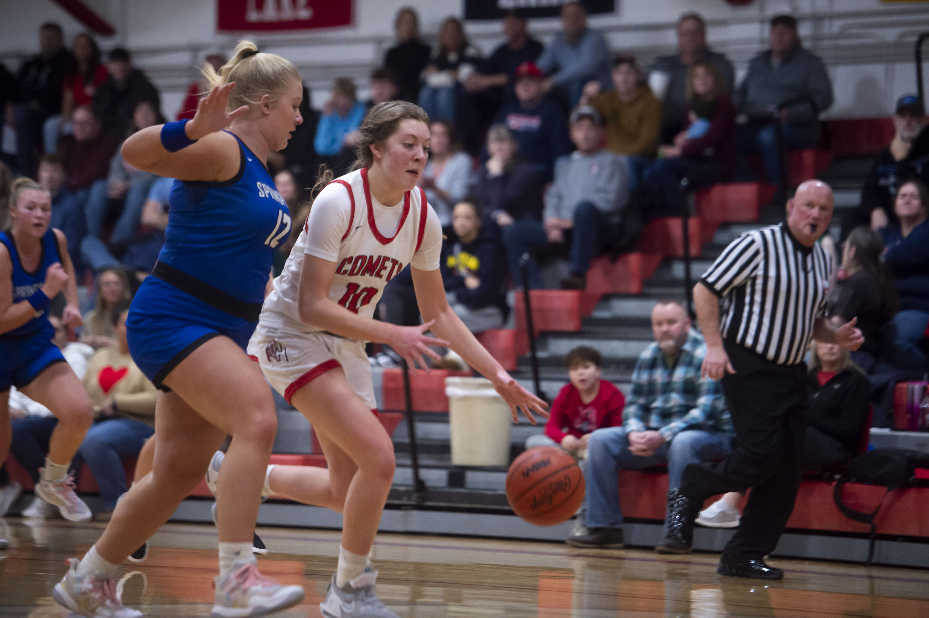 See photos as Springport's girls basketball defeats Hanover-Horton ...