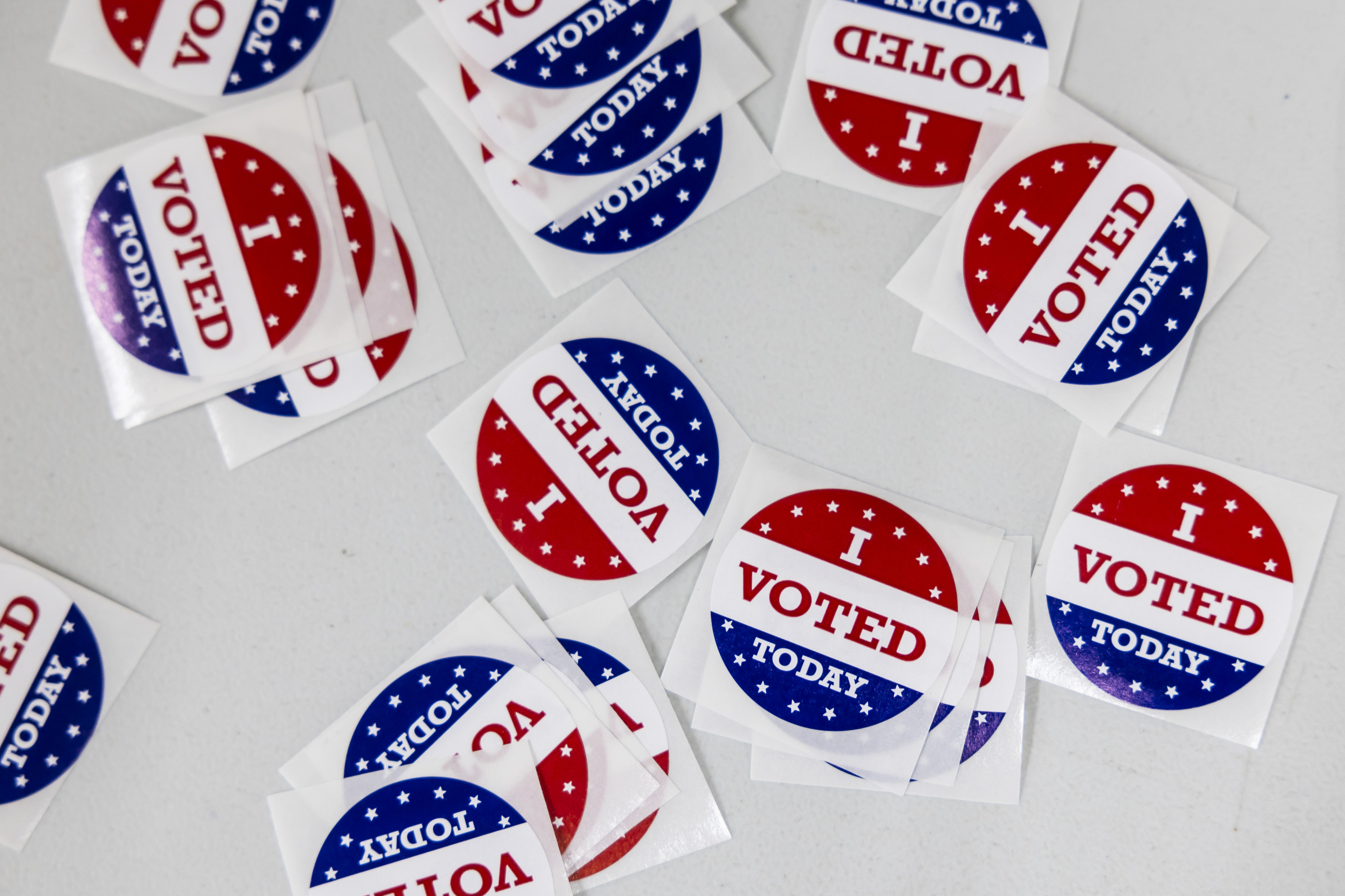 Mid-Michigan voters head to the polls for 2024 primary election - mlive.com