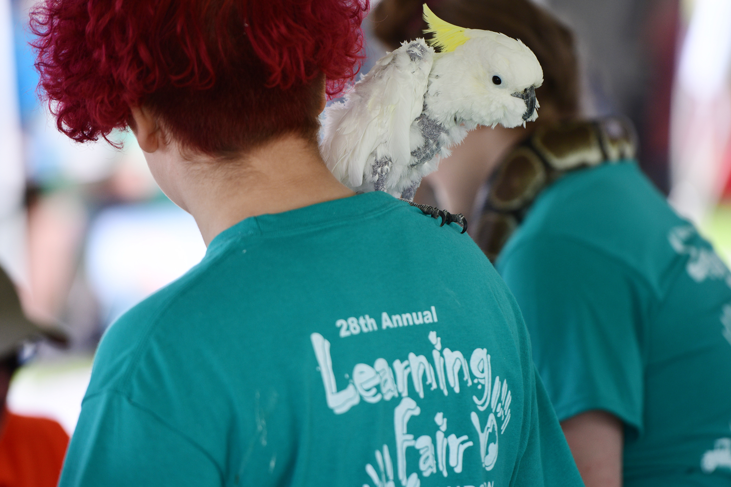 Learning Fair celebrates 28th year - mlive.com