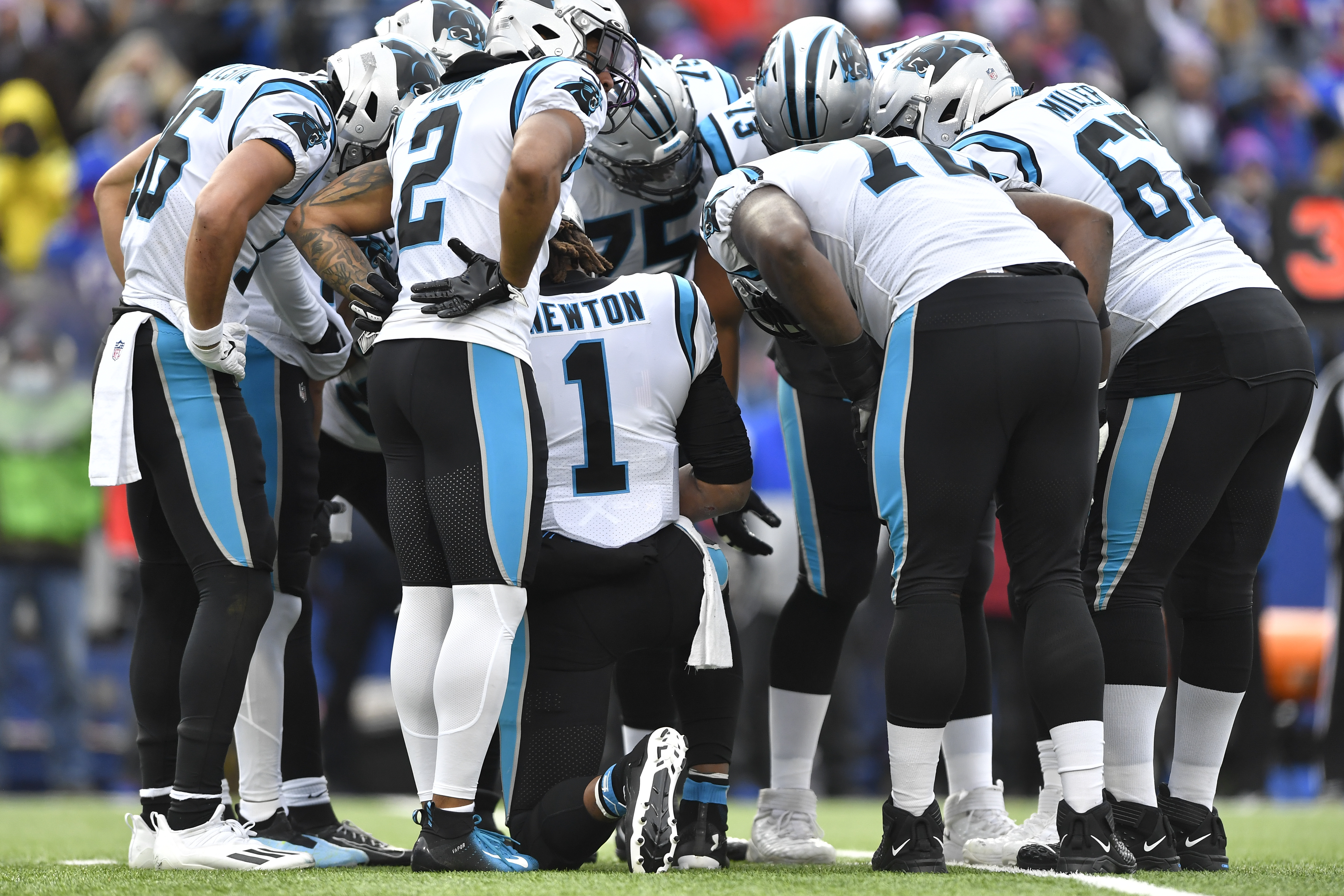 Carolina Panthers vs Buffalo Bills - December 19, 2021