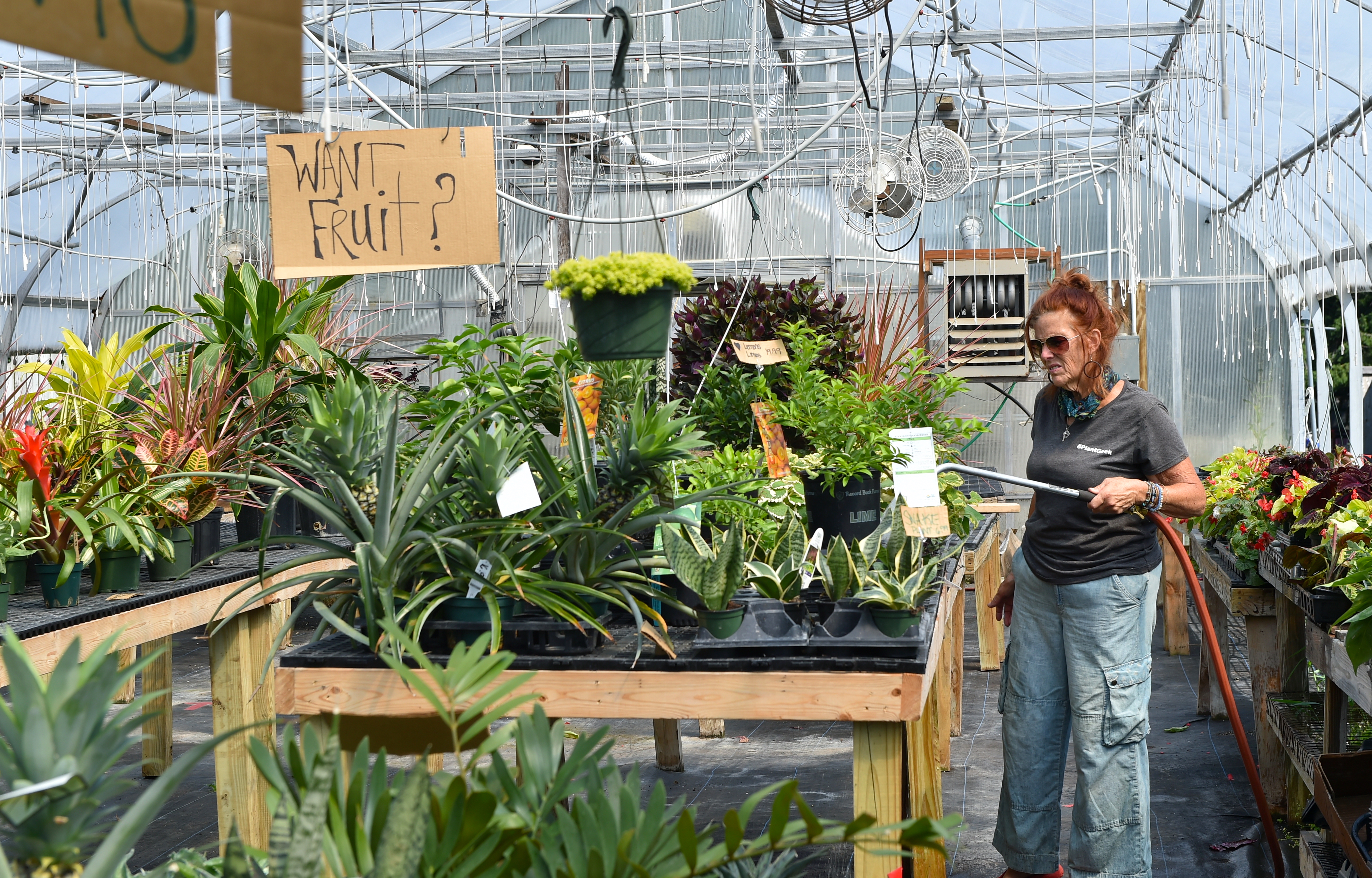 Crazy Daisies Flower Farm Thrives Amid Pandemic Plans Expansion Video Syracuse Com