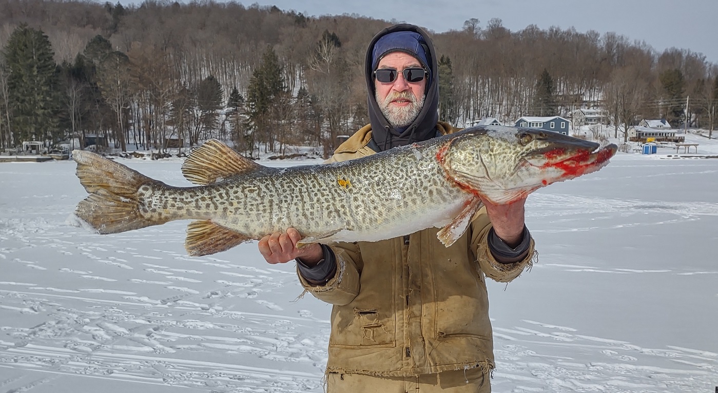 Angler gets closer to world ice fishing record: 47-inch tiger