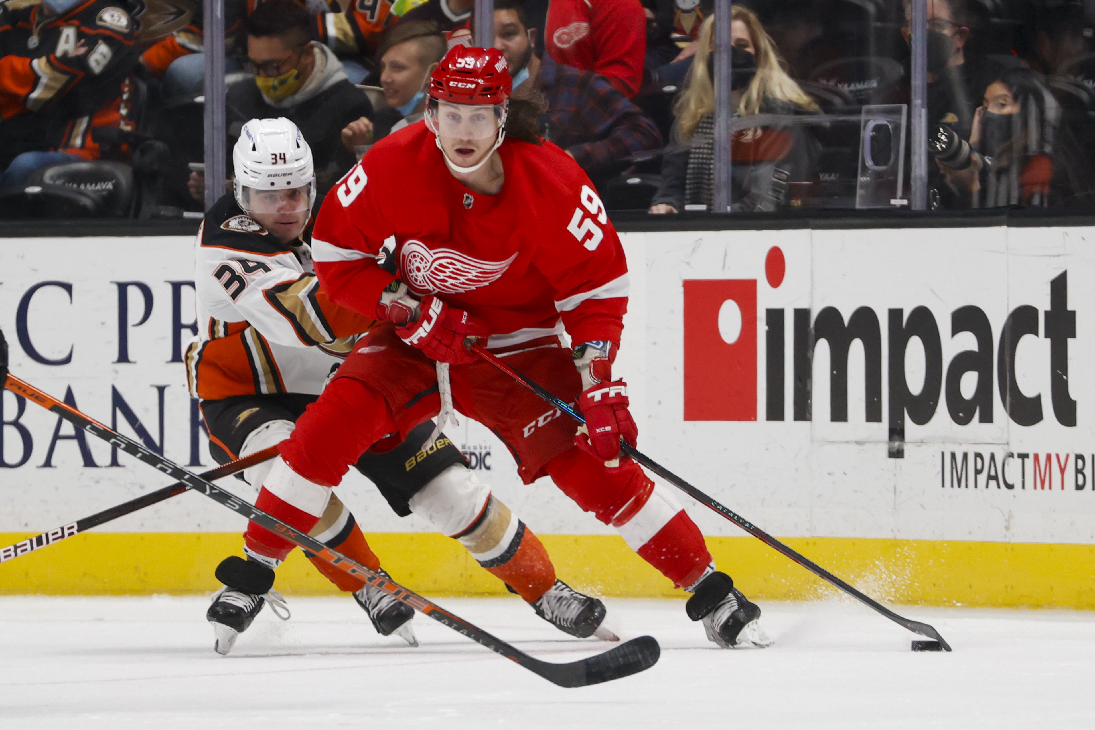 Red Wings' Bertuzzi out 4 to 6 weeks with upper-body injury