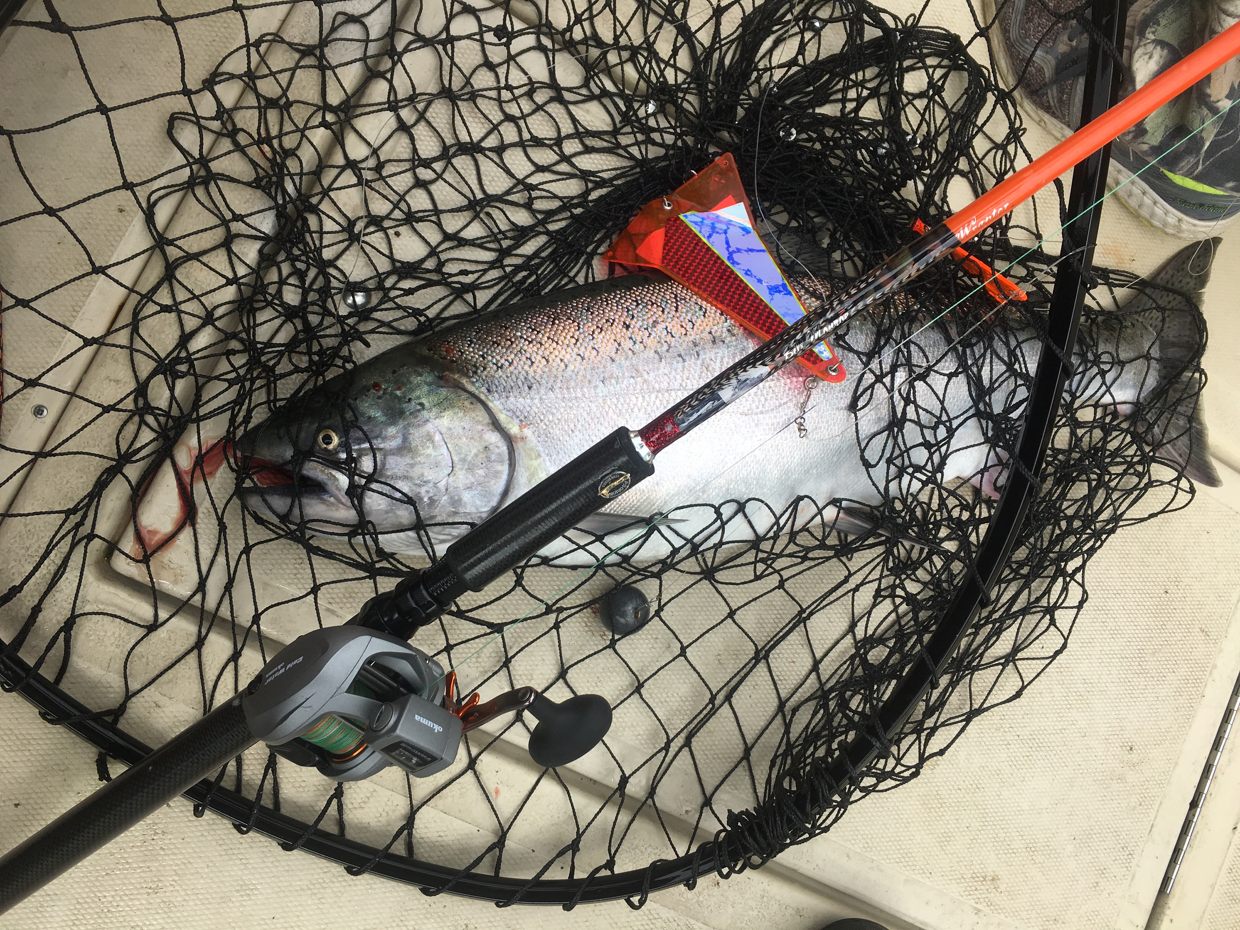 EARLY Season BUOY 10, Fall Chinook