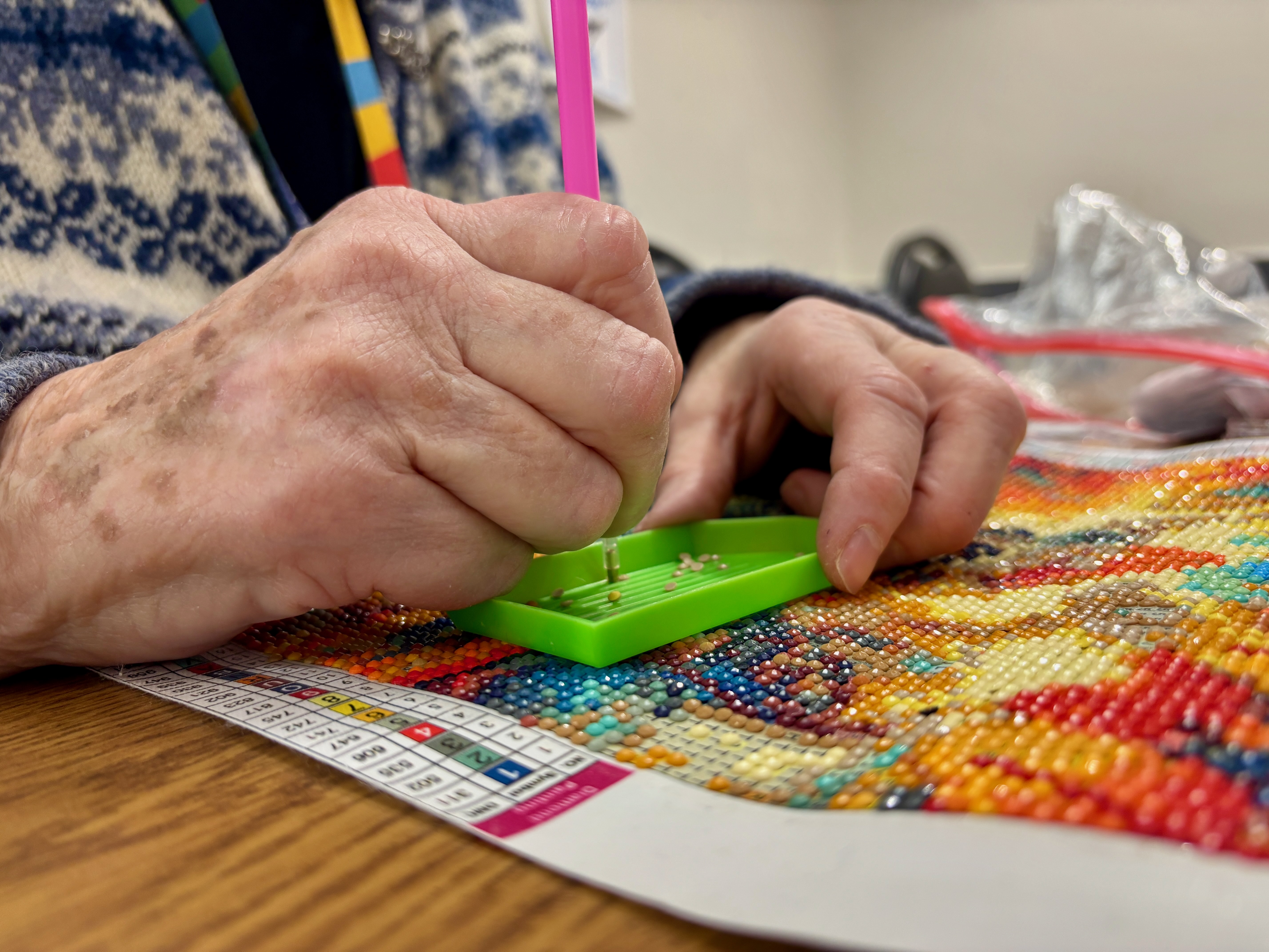 A Day Inside the Todt Hill Friendship Club - silive.com