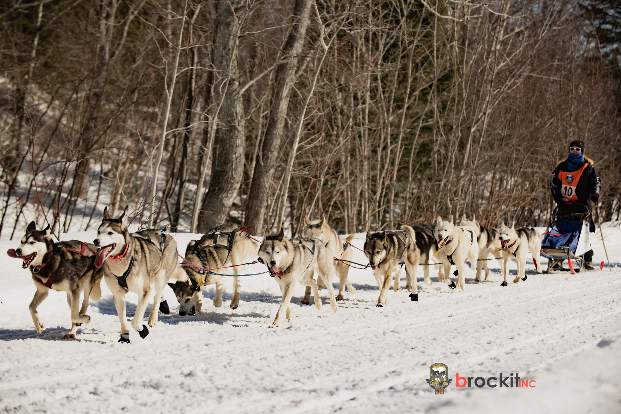 2023 CopperDog 150 sled dog race in Michigan's U.P.