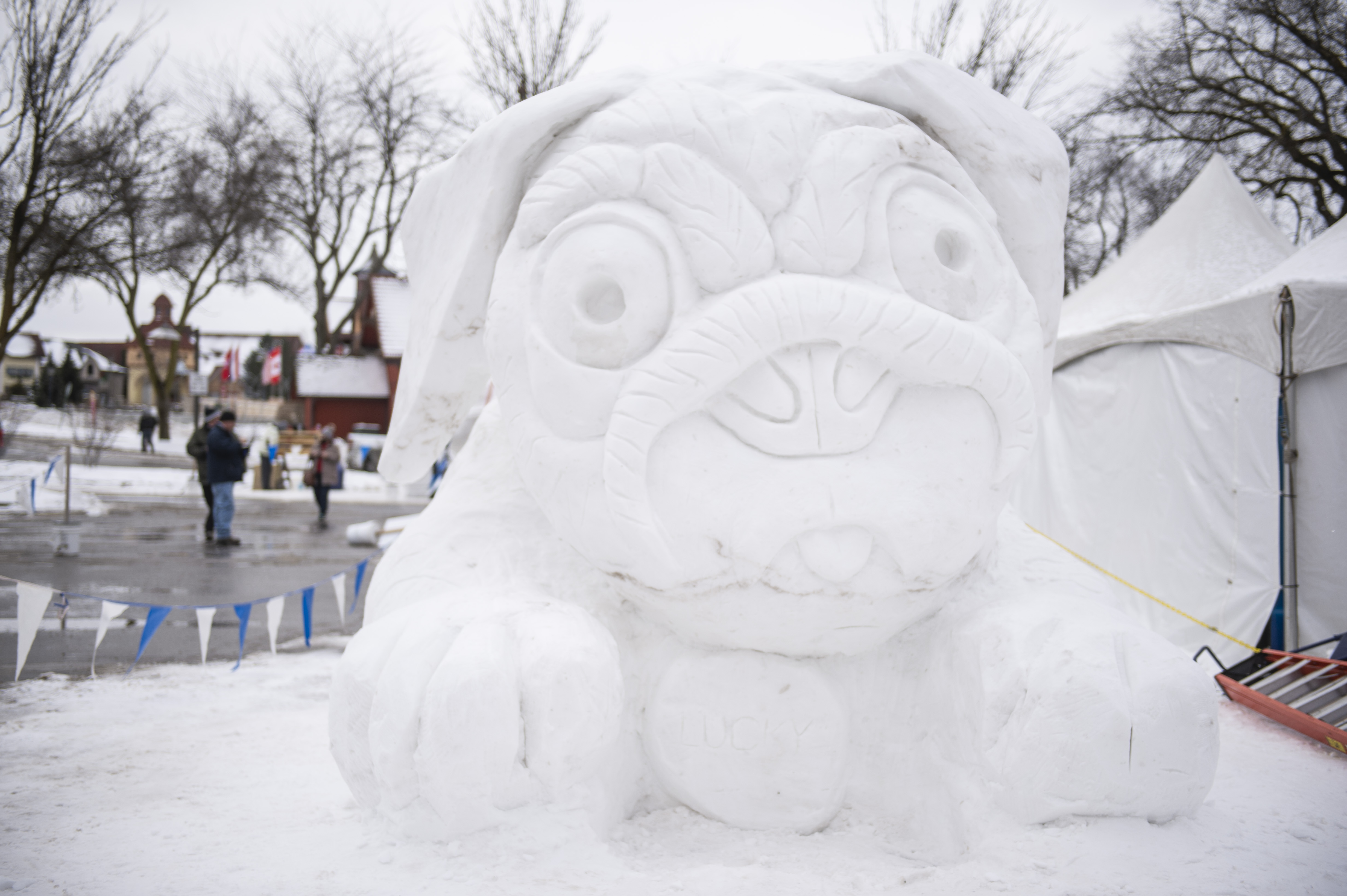 Frankenmuth Calendar Of Events 2022 Zehnder's Snowfest 2022 Begins Today. Here's The Schedule Of Events -  Mlive.com
