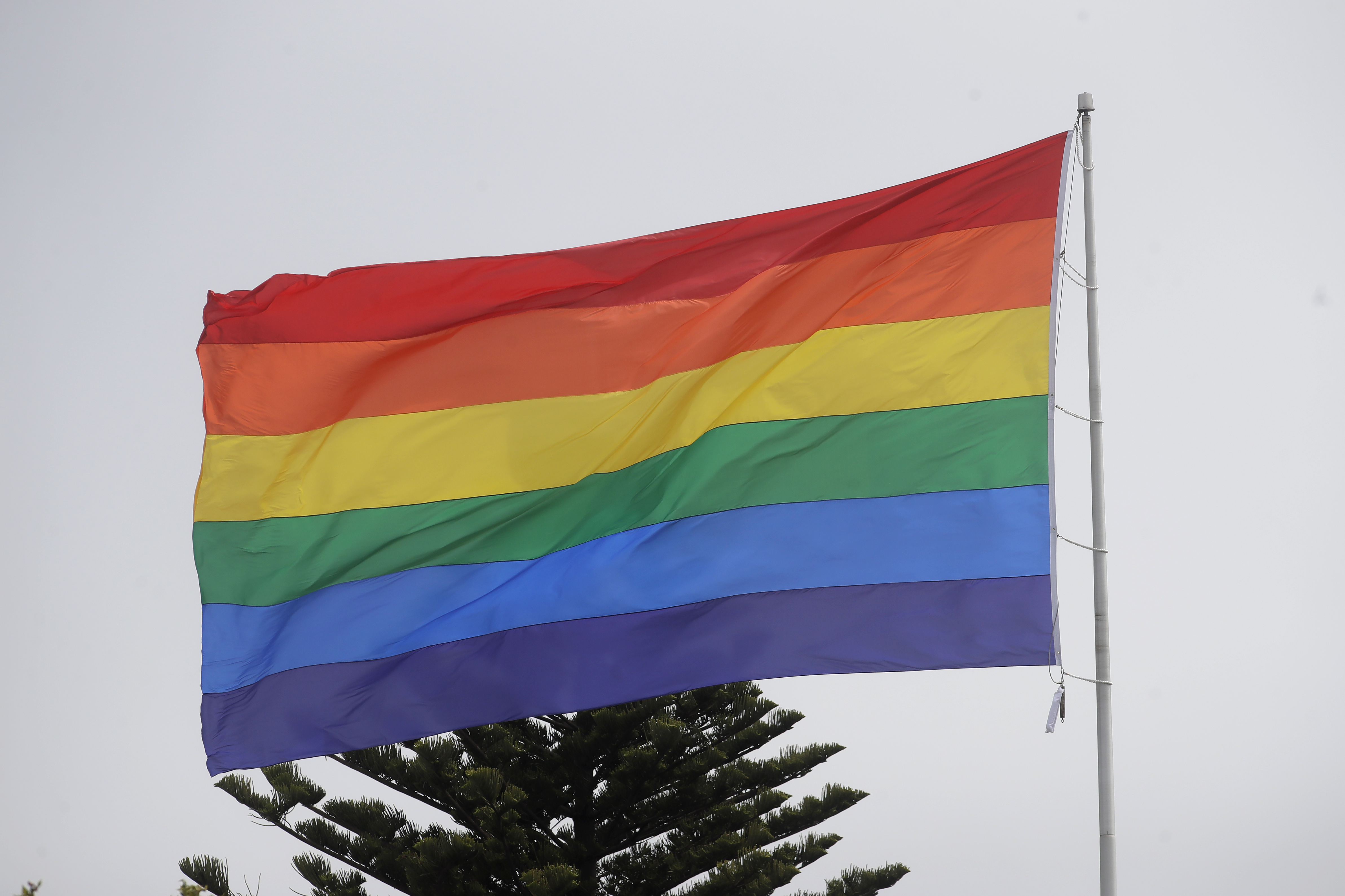 Pride flag. Флаги прайдов ЛГБТ. Flag LGBT ЛГБТ флаг. Флаг ЛГБТ 2021. Прайд флаг.