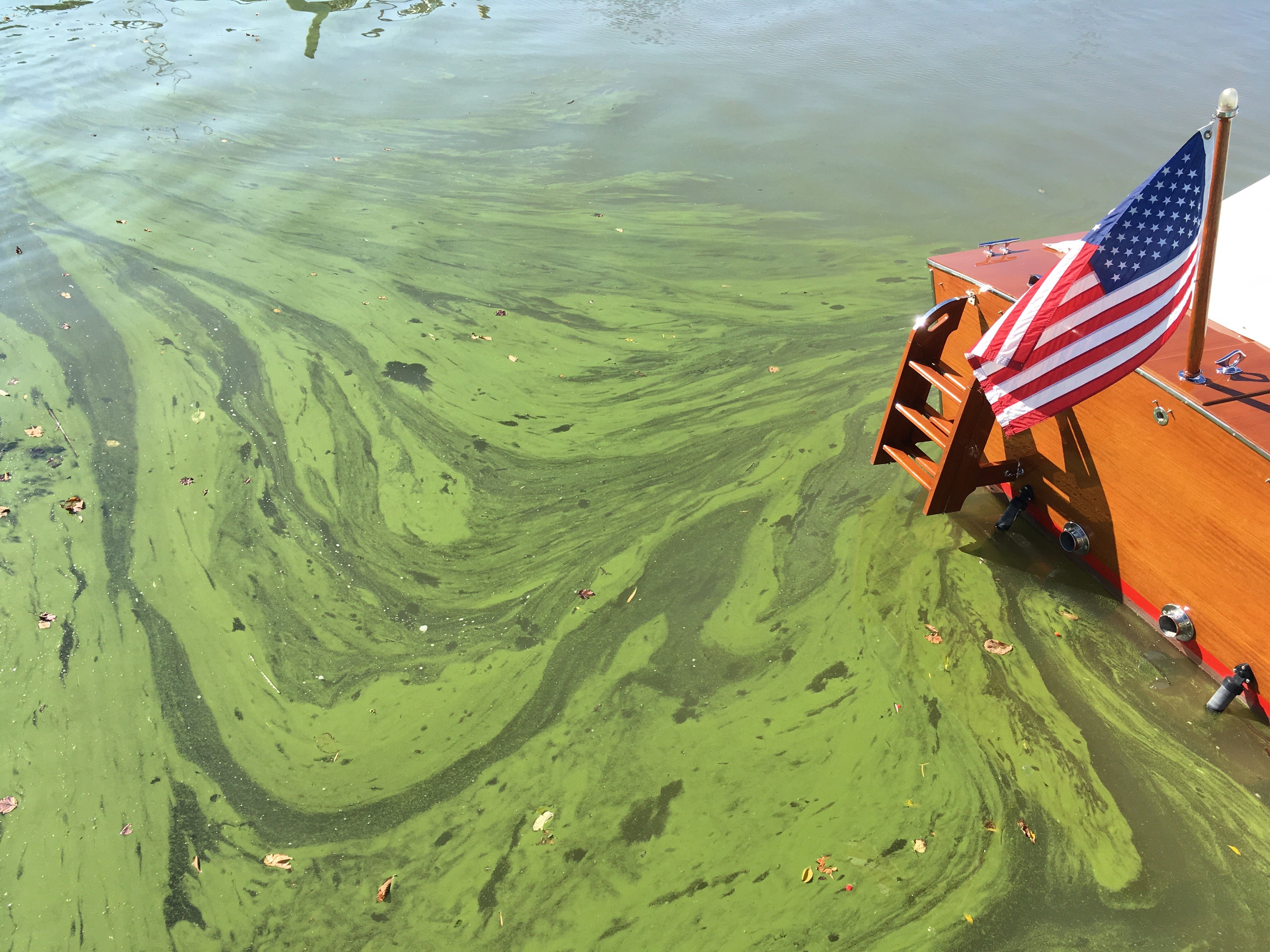 Polution Lake Lake Erie Pollution Lake Erie Wikipedia