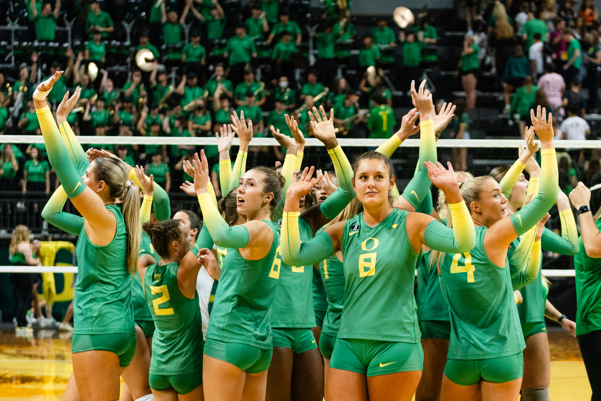 Oregon Ducks volleyball vs. Oregon State Beavers - oregonlive.com