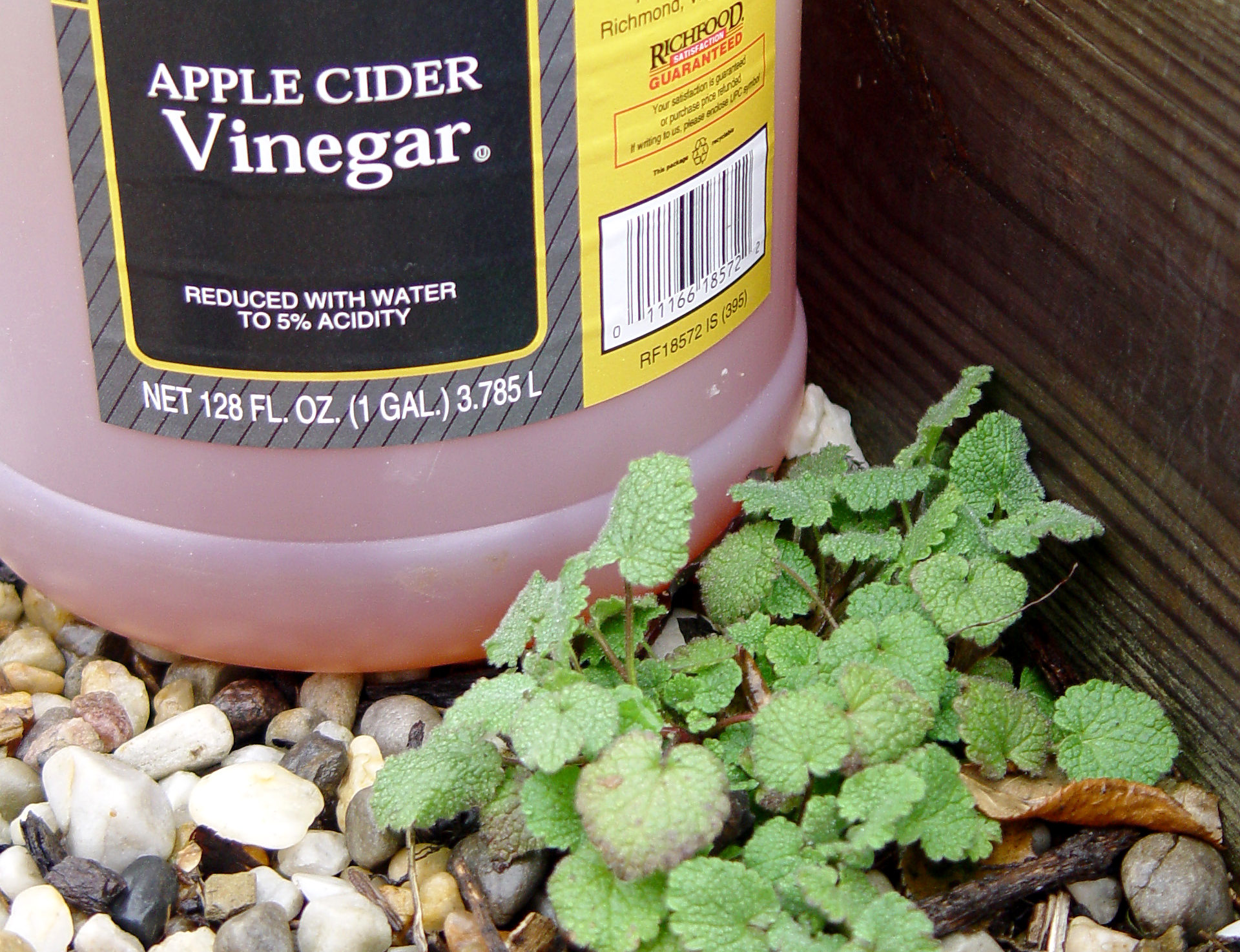 10 gardening myths and maybes that will make you a smarter gardener -  pennlive.com