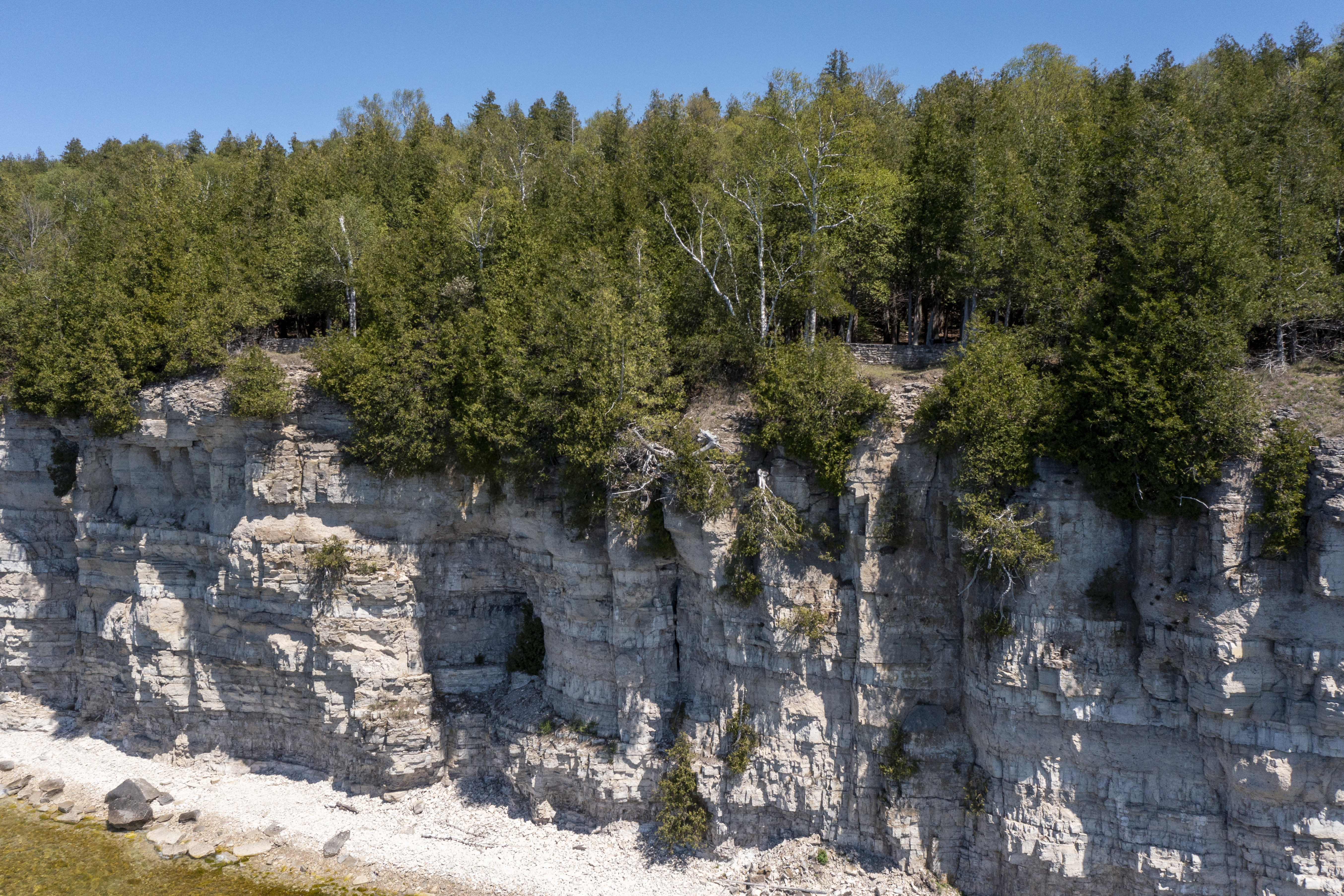 White dolomite limestone cliffs along Lake Michigan at Fayette Historic State Park near Garden on Tuesday, May 17, 2022. The scraggly white cedars growing from the cliff face are among the slowest-growing trees in the world and some are estimated to be more than 1,400 years old, according to research from the University of Guelph in Ontario. (Drone image by Cory Morse | MLive.com)
