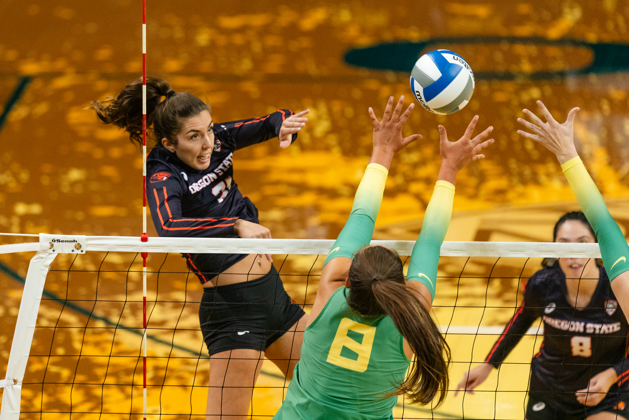 Oregon Ducks volleyball vs. Oregon State Beavers - oregonlive.com