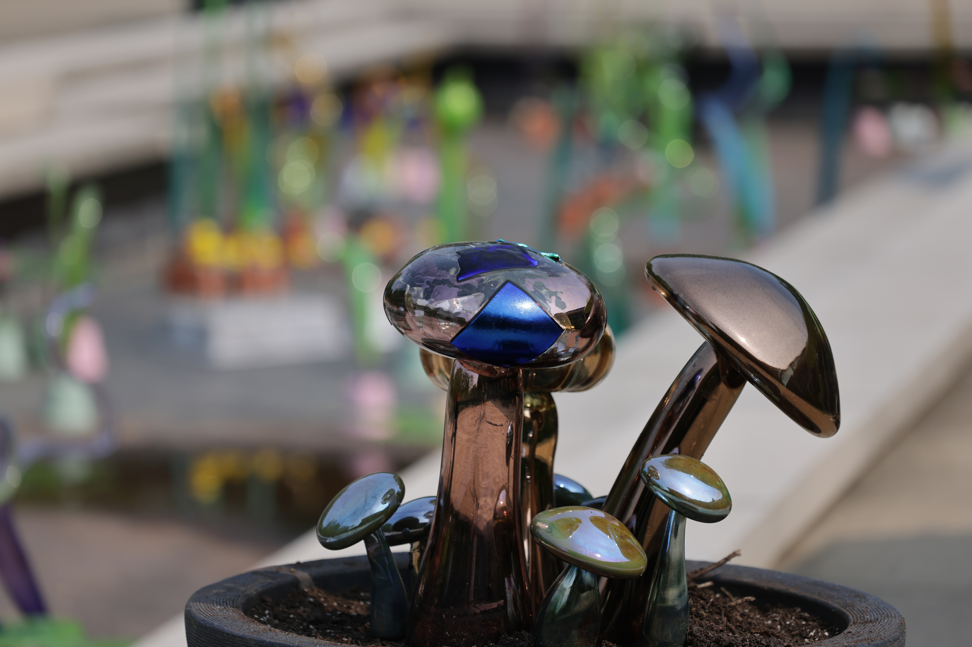 "BLOOM! Botanicals & Birdhouses" at the Cleveland Botanical Garden