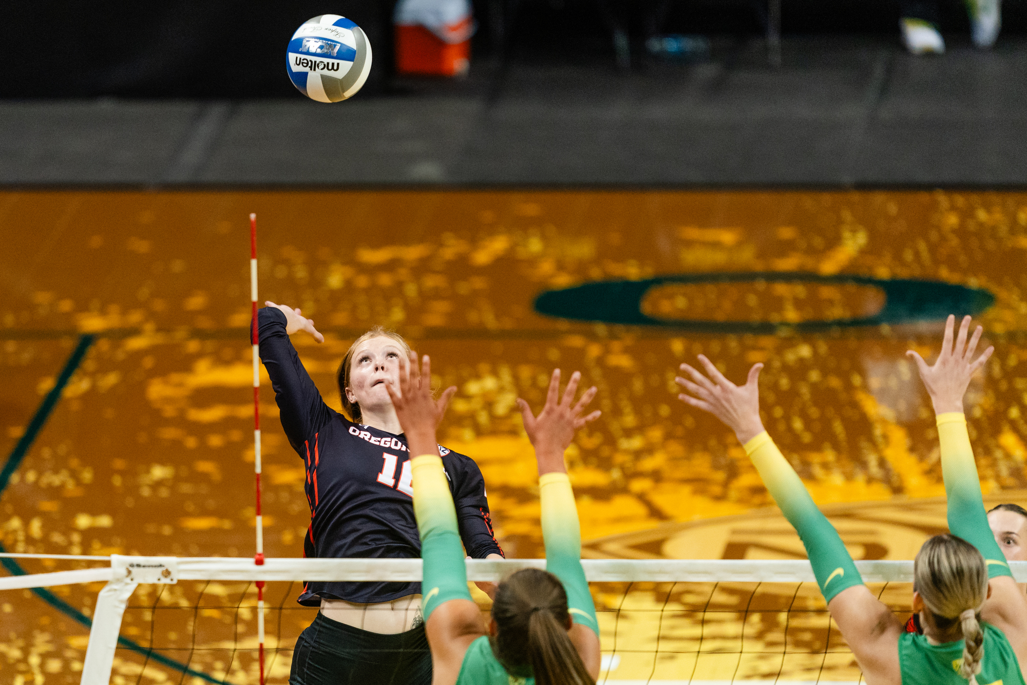 Oregon Ducks volleyball vs. Oregon State Beavers - oregonlive.com