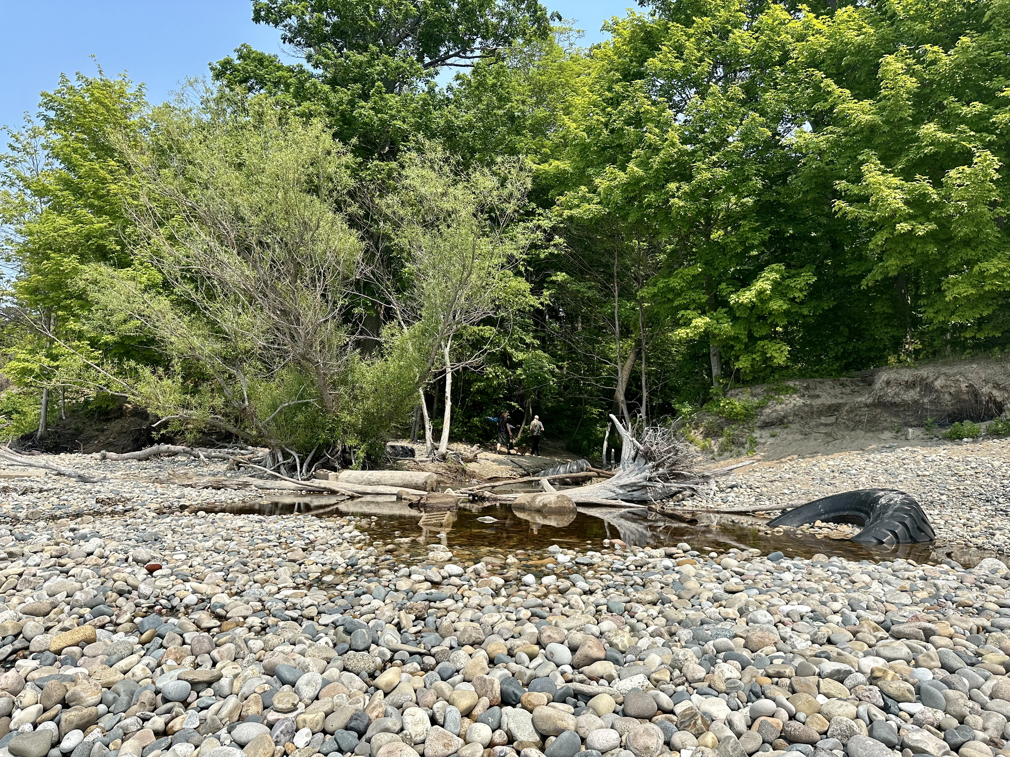 Are any of these southern Lake Michigan beach rocks good for tumbling? I  added a little water to some to show the shine. Not sure what they all are,  I'm guessing quartzite