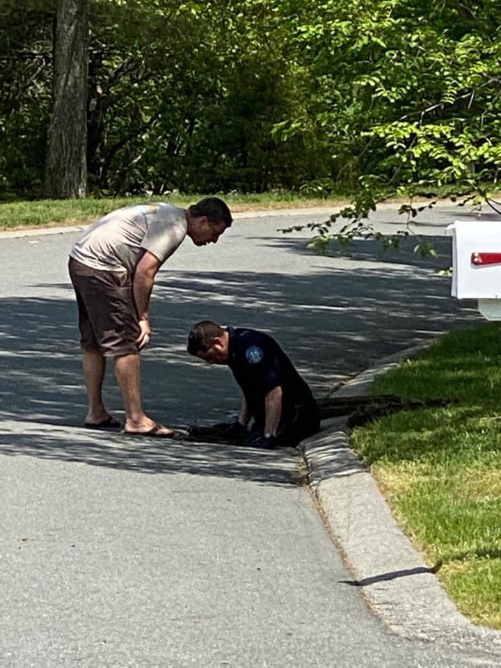 Officer, 2 children help rescue 15 baby ducks from storm drain in ...