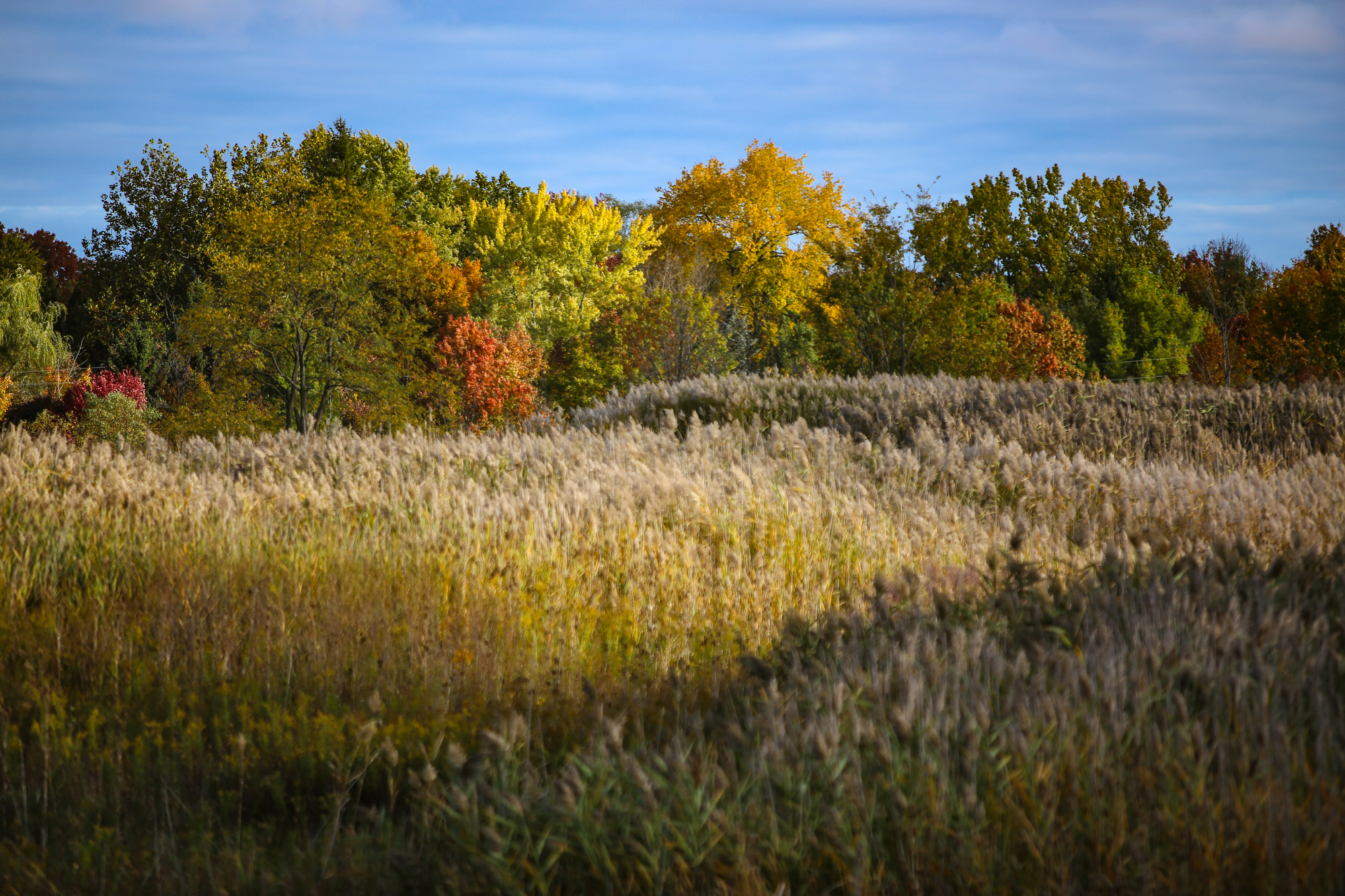 Fall colors in Northeast Ohio in 2020 - cleveland.com