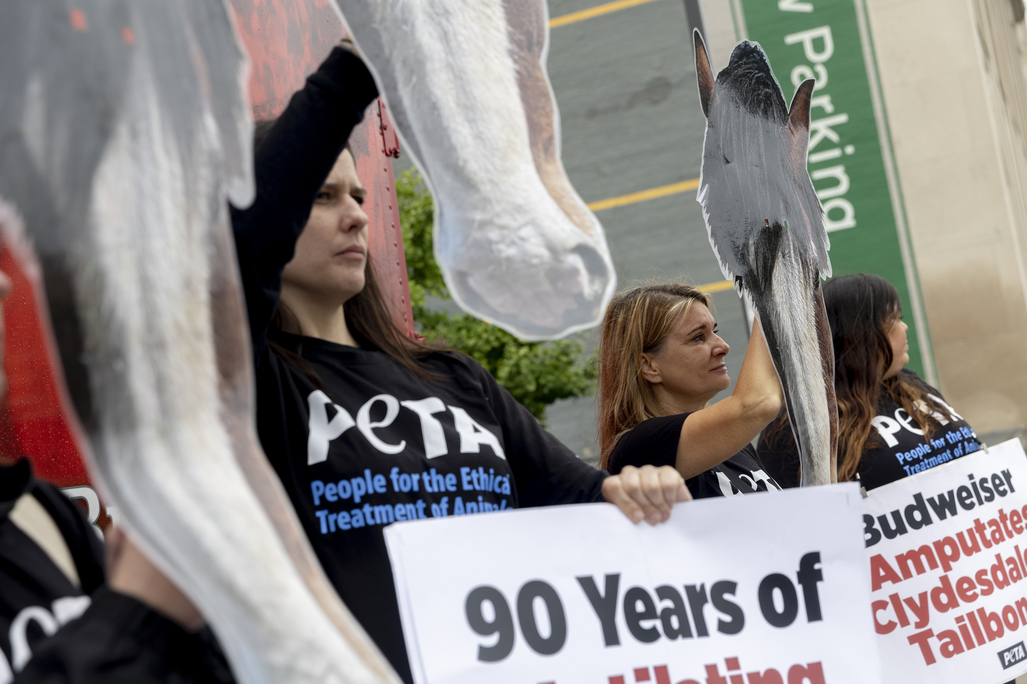 PETA protests Budweiser in Michigan for animal abuse, mutilation of ...