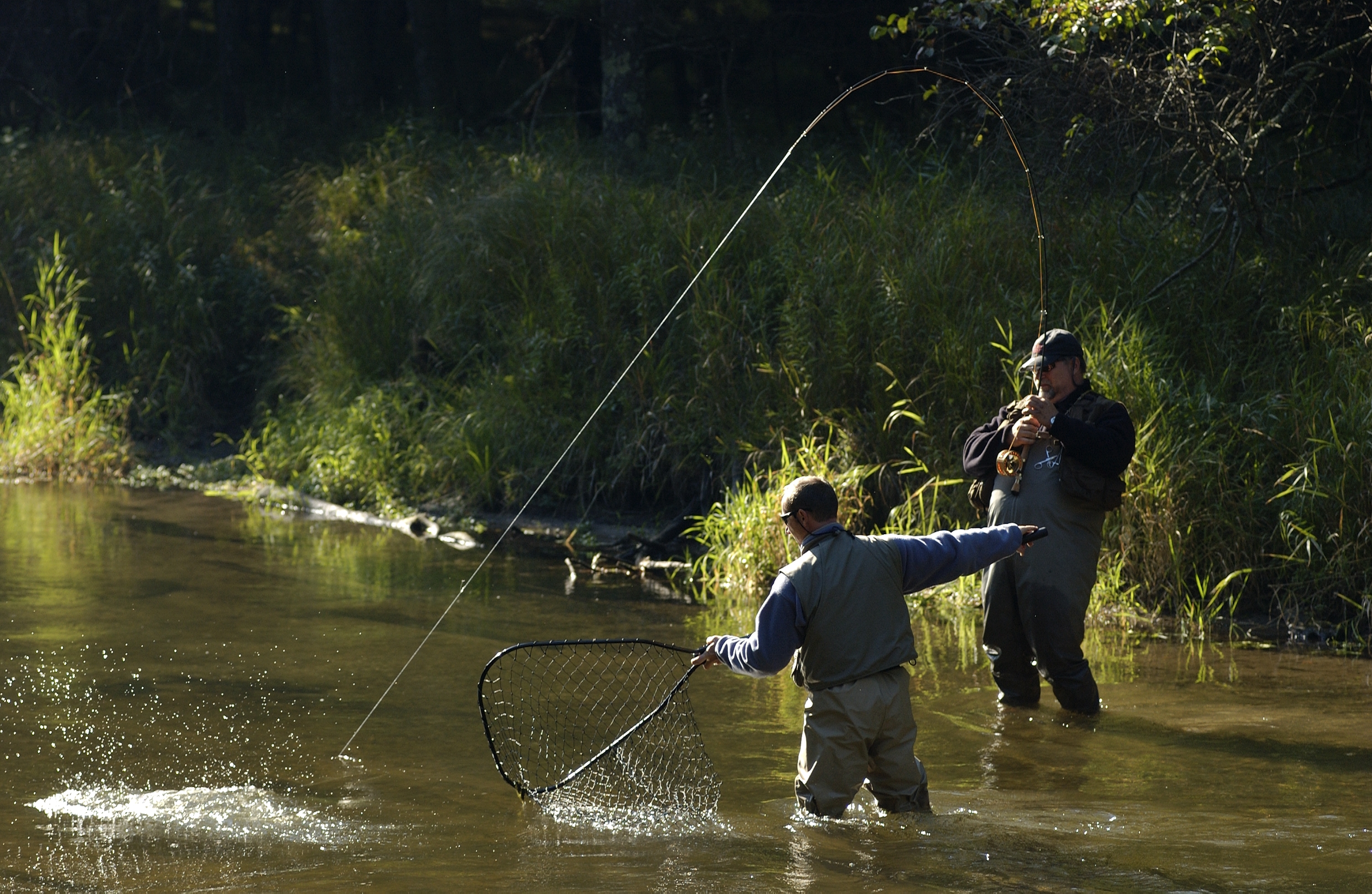 Colorado Reel — Dead Drift