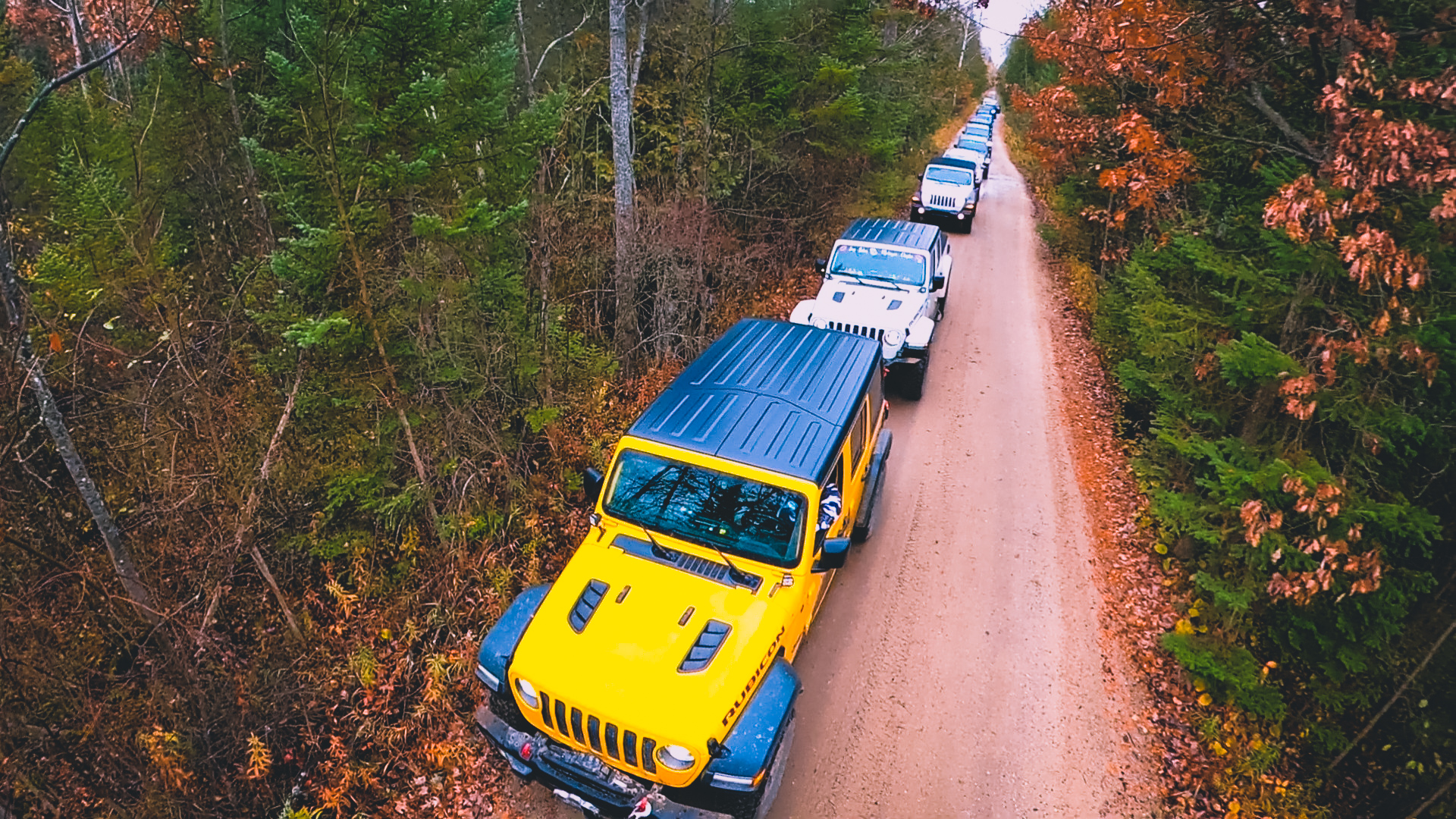 Jeep Babes to lead caravan in support of Bay City girl, 9, whose parents,  baby brother recently died - mlive.com