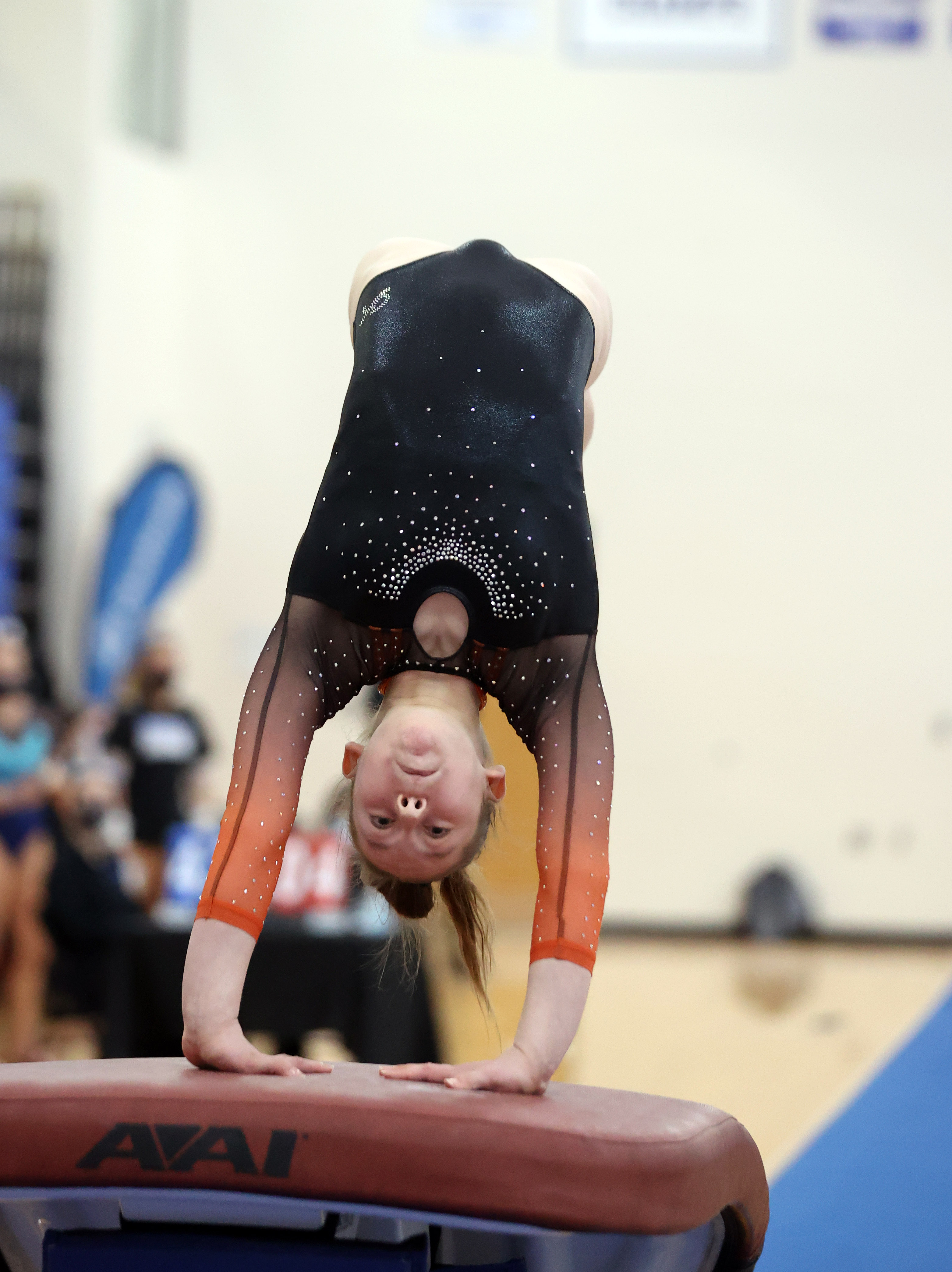 Ohsaa State Gymnastics Individual Championships March 5 2021