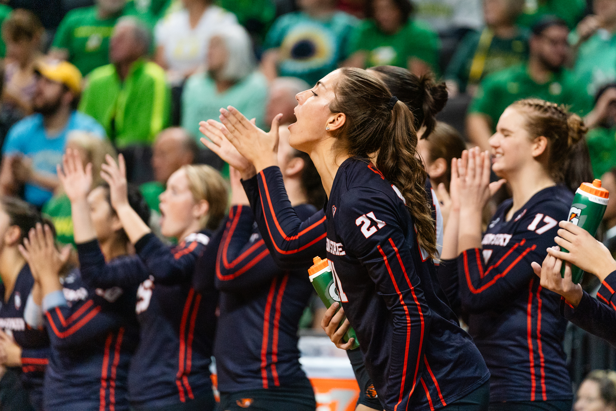 Oregon Ducks volleyball vs. Oregon State Beavers - oregonlive.com