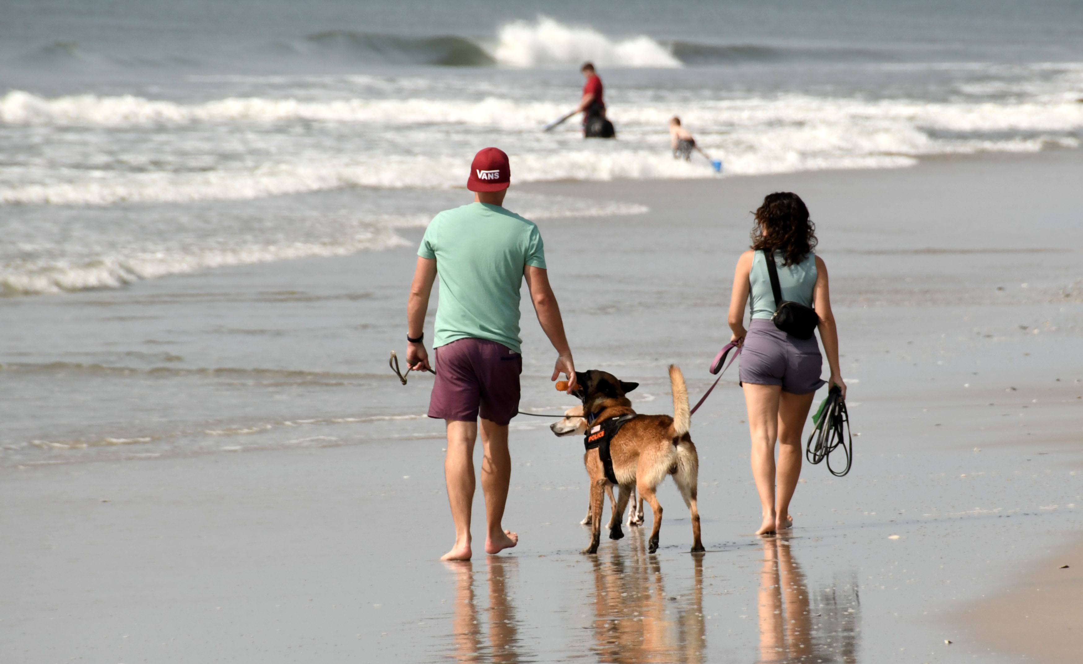 Dogfriendly Beach North beach in Brigantine