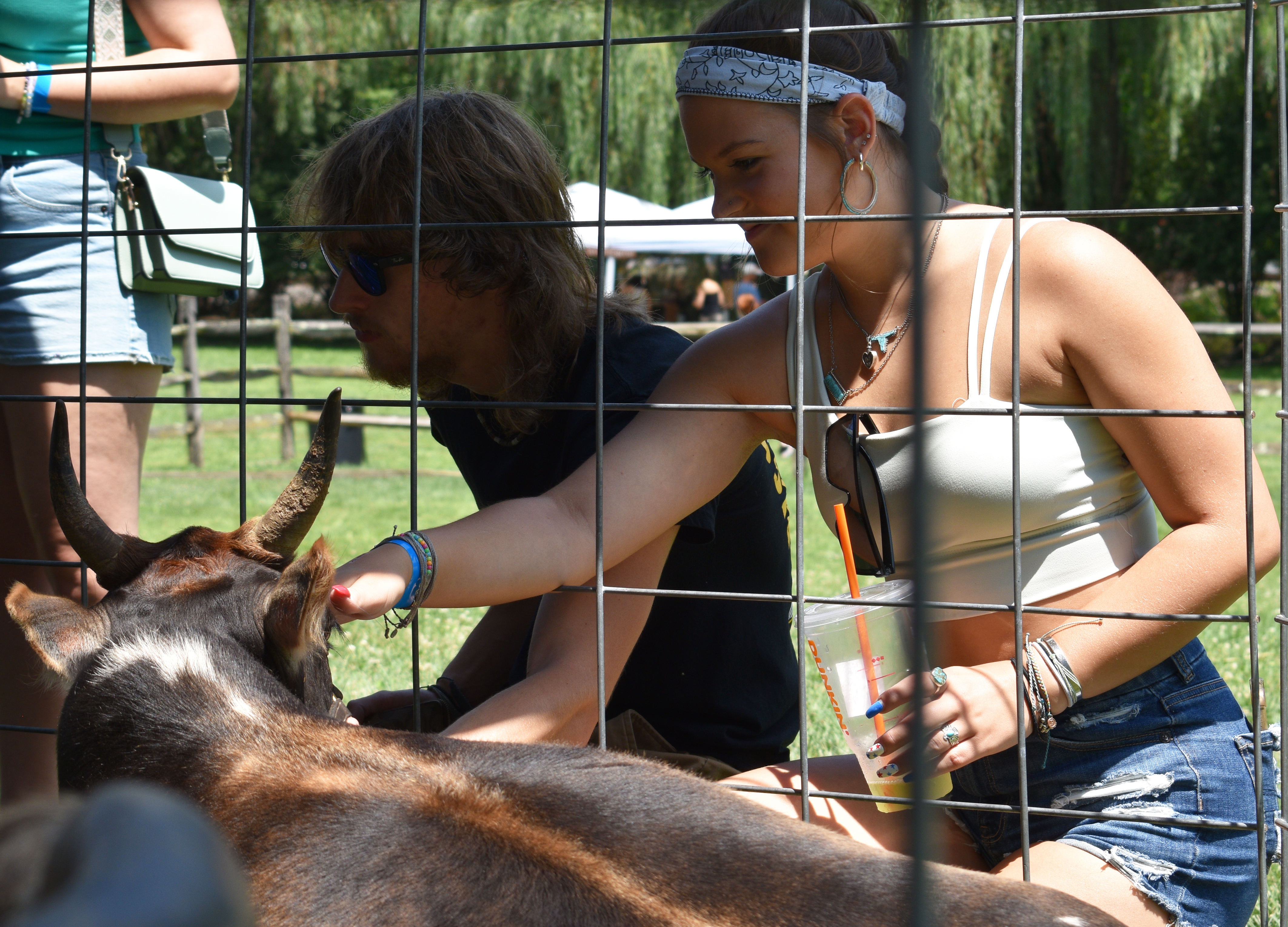 Danny Heckman, of Tamaqua, from left, with Peyton Neumoyer, of New Tripoli, visit with animals on hand from Barnes Yard Petting Zoo LLC as Historic Bethlehem Museums & Sites opens its two-day Blueberry Festival & Market To Go on Saturday, July 13, 2024, at Burnside Plantation. It continues Sunday.