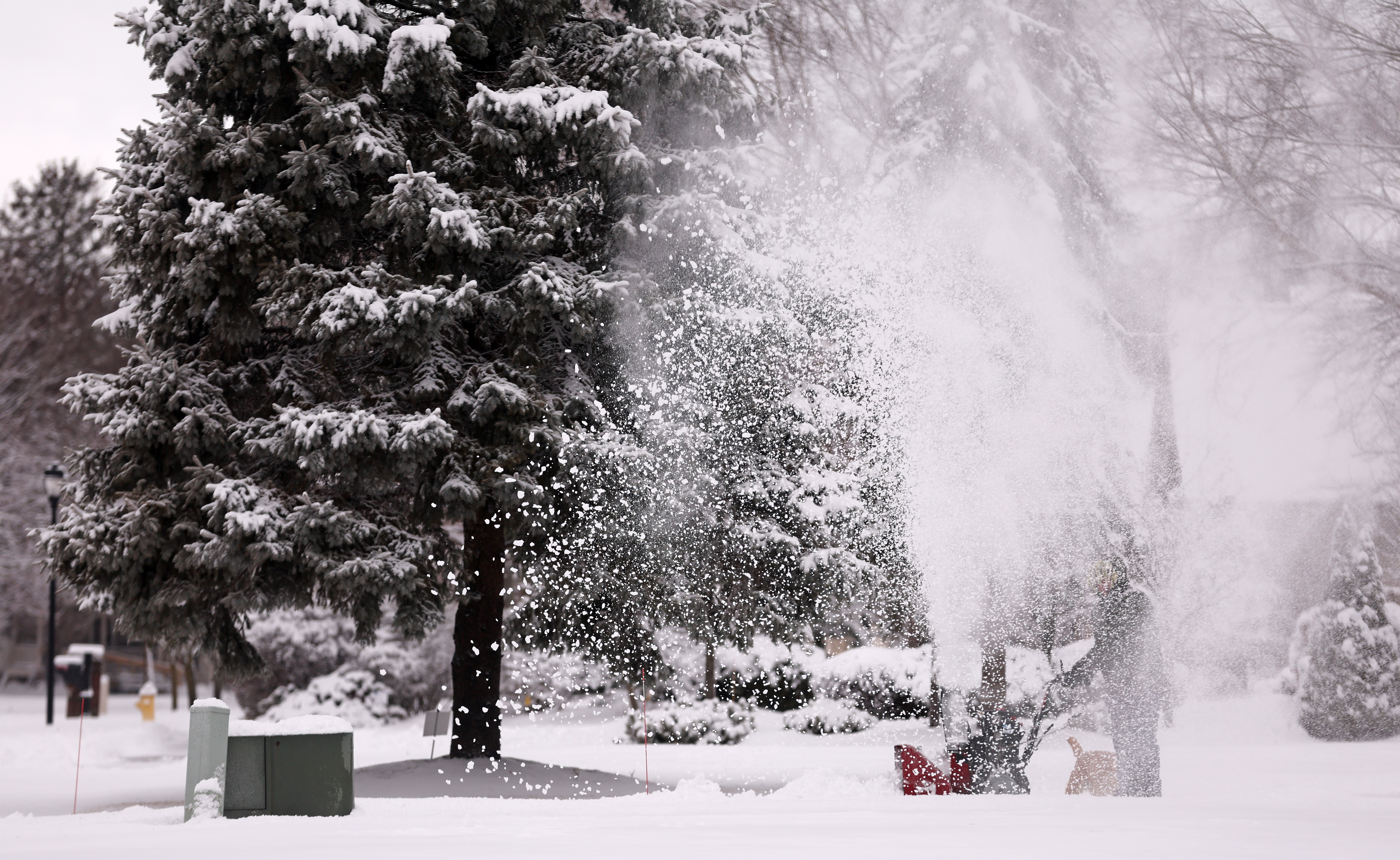 Winter storm drops heavy snow on Northeast Ohio, February 16, 2025 ...